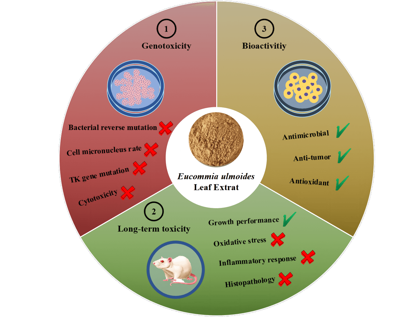 Comprehensive Assessment of the Safety of <i>Eucommia ulmoides</i> Leaf Extract for Consumption as a Traditional Chinese Health Food