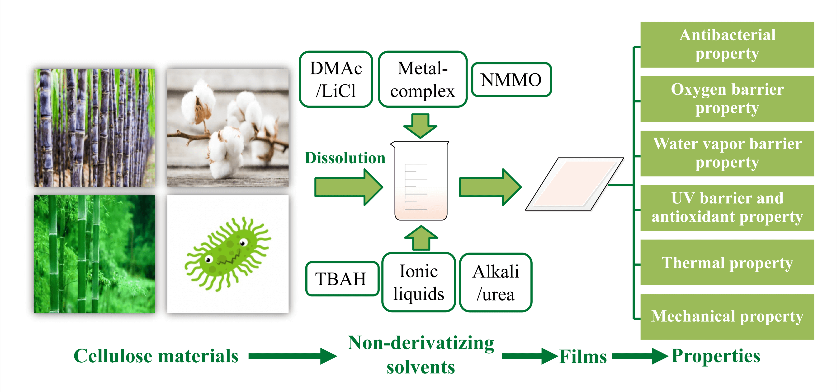Cellulose-Based Films for Food Packaging Applications: Review of Preparation, Properties, and Prospects
