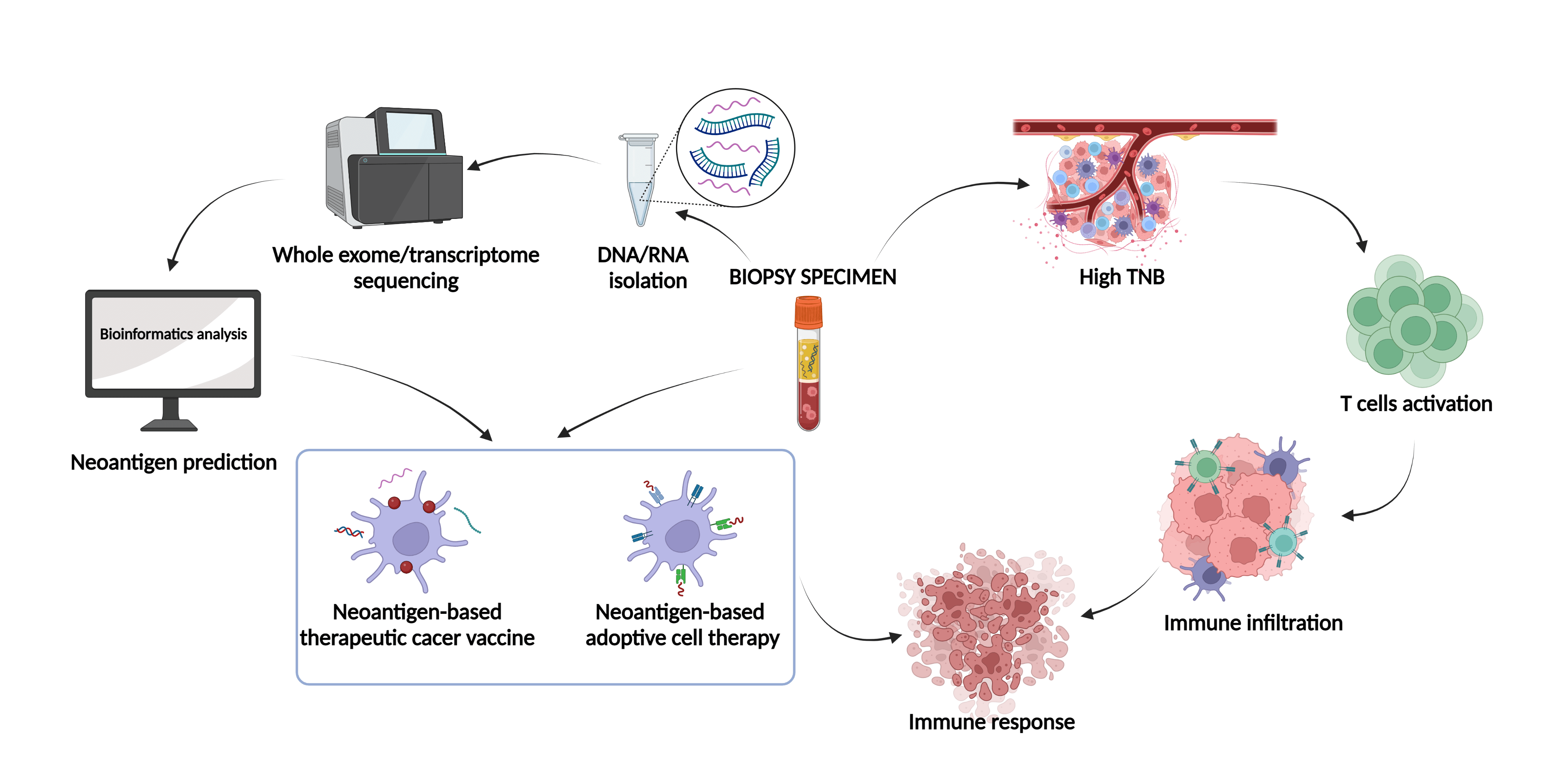 Tumor neoantigens: Novel strategies for application of cancer immunotherapy