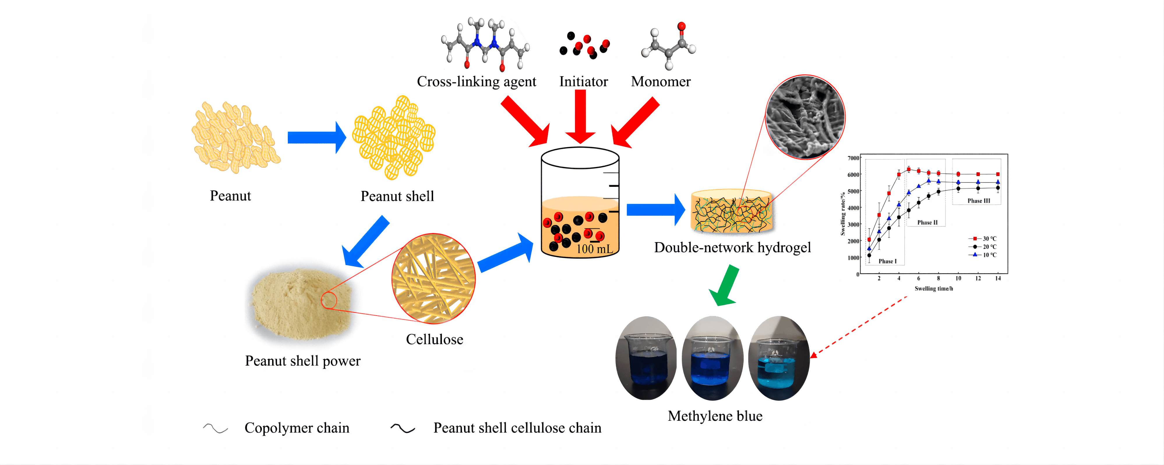 Preparation of Peanut Shell Cellulose Double-Network Hydrogel and Its Adsorption Capacity for Methylene Blue