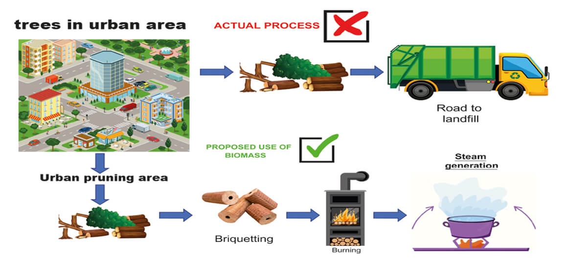 Urban Plant Biomass Residues from the Neotropics and Their Potential for Thermal Energy Generation