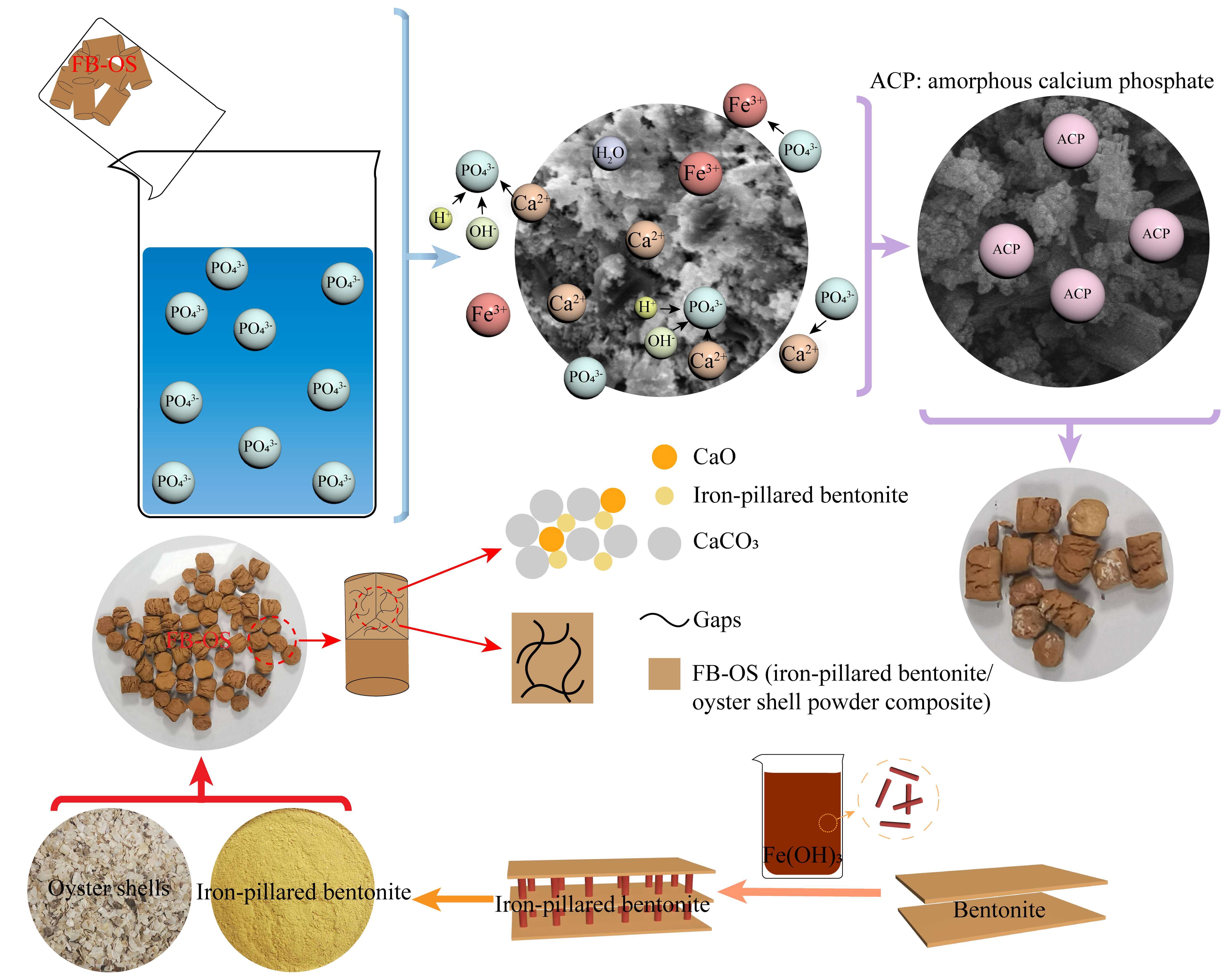 Preparation of Iron-Pillared Bentonite/Oyster Shell Composite and Phosphate Adsorption in Water