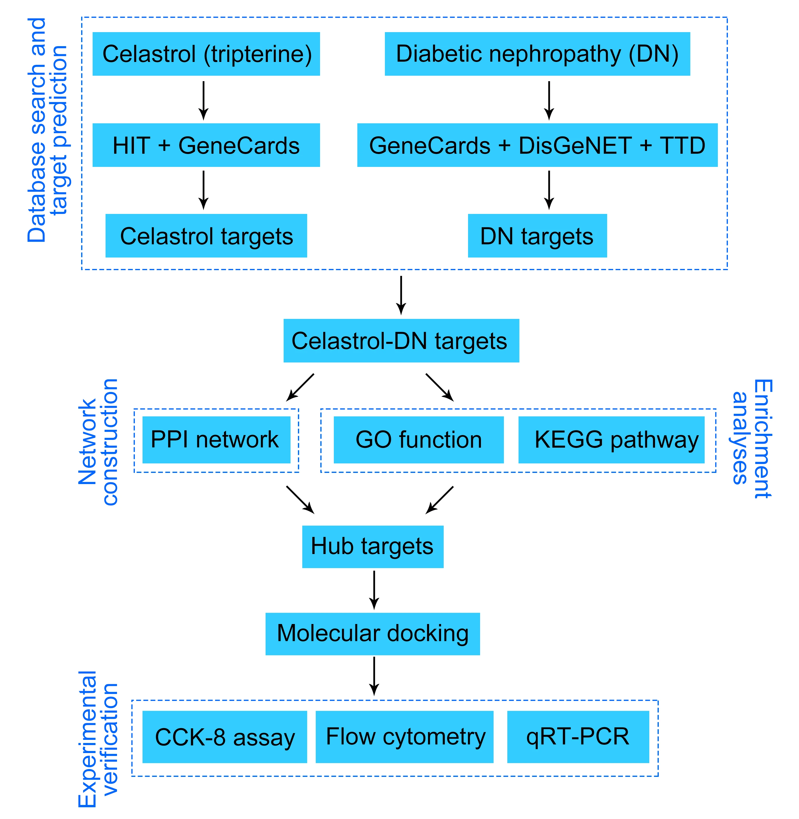 Study of molecular mechanisms underlying the medicinal plant <i>Tripterygium wilfordii</i>-derived compound celastrol in treating diabetic nephropathy based on network pharmacology and molecular docking