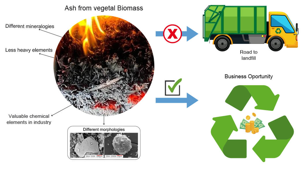 Physicochemical Properties of Combustion Ashes of Some Trees (Urban Pruning) Present in the Neotropical Region