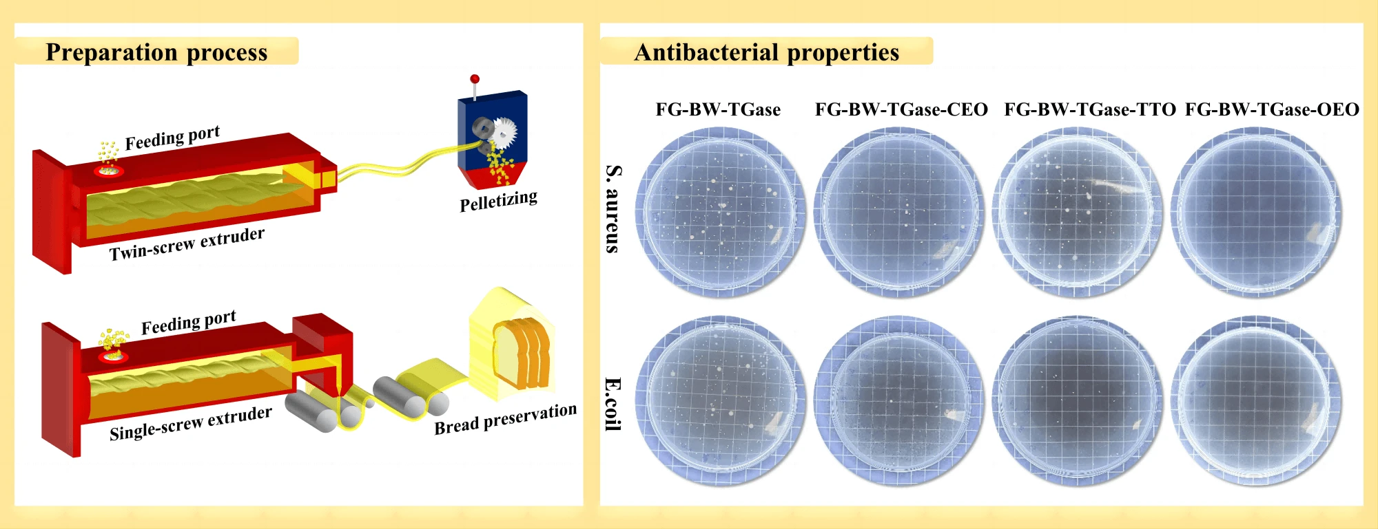 Development of Gelatin-Based Active Packaging and Its Application in Bread Preservation