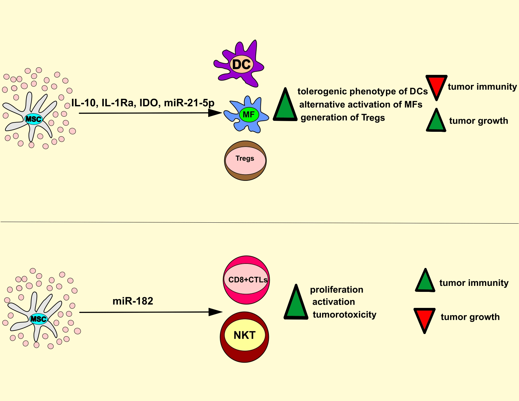 The role of mesenchymal stem cell-derived exosomes in tumor progression