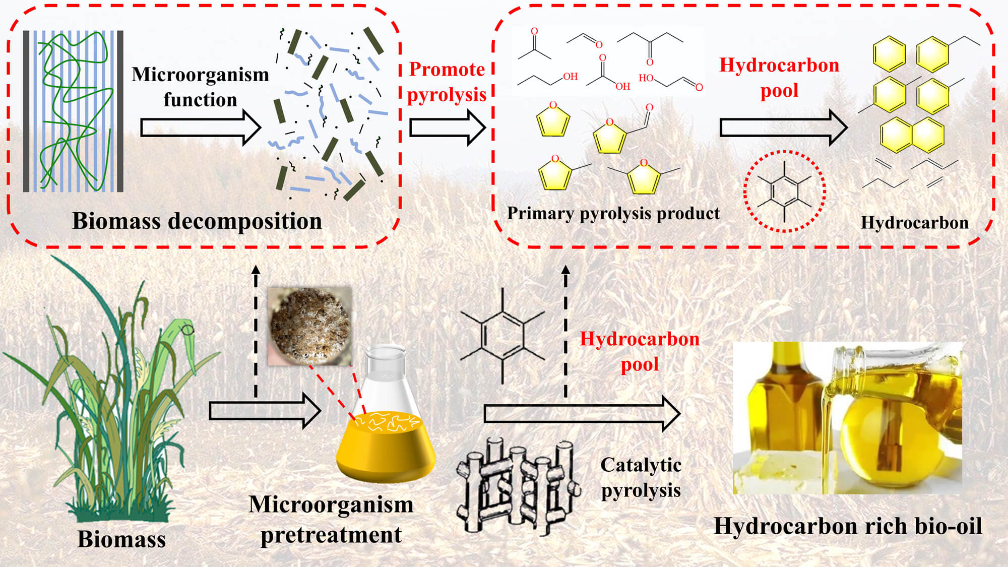 Enhancing Hydrocarbon-Rich Bio-Oil Production via Catalytic Pyrolysis Fortified with Microorganism Pretreatment
