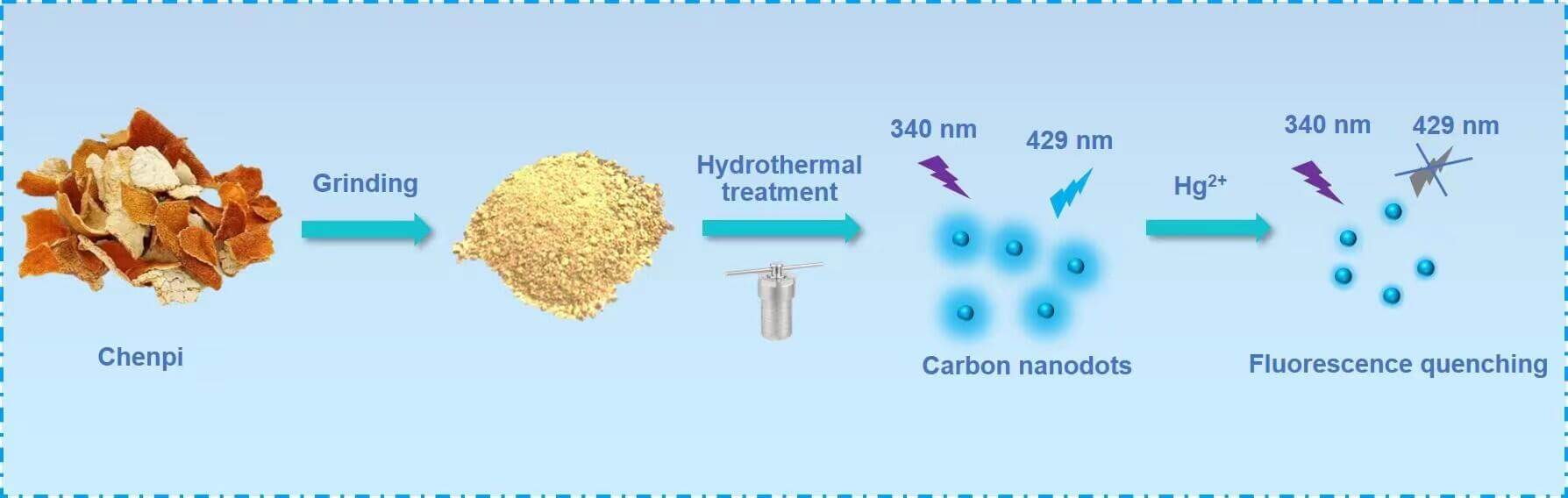 Synthesis of Carbon dots from Biomass Chenpi for the Detection of Hg<sup>2+</sup>