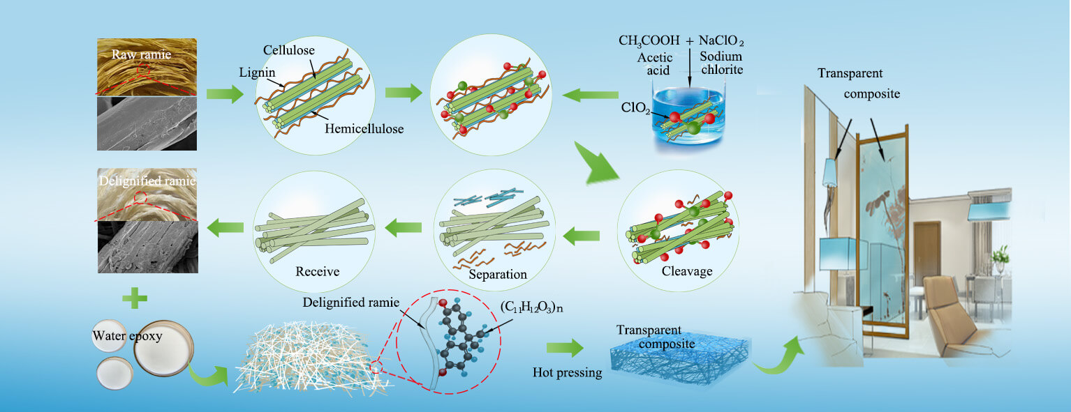 Optical and Mechanical Properties of Ramie Fiber/Epoxy Resin Transparent Composites