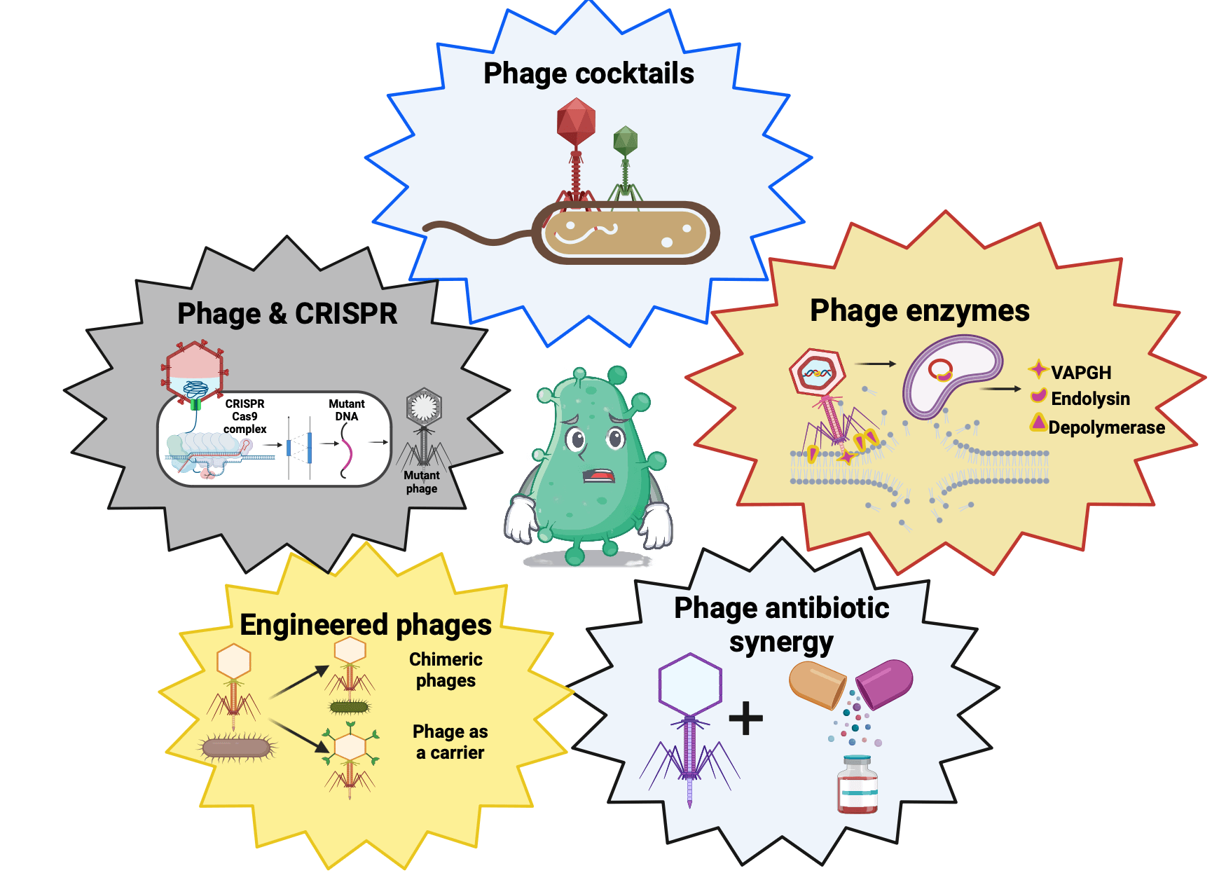 A review on re-emerging bacteriophage therapy in the era of XDR