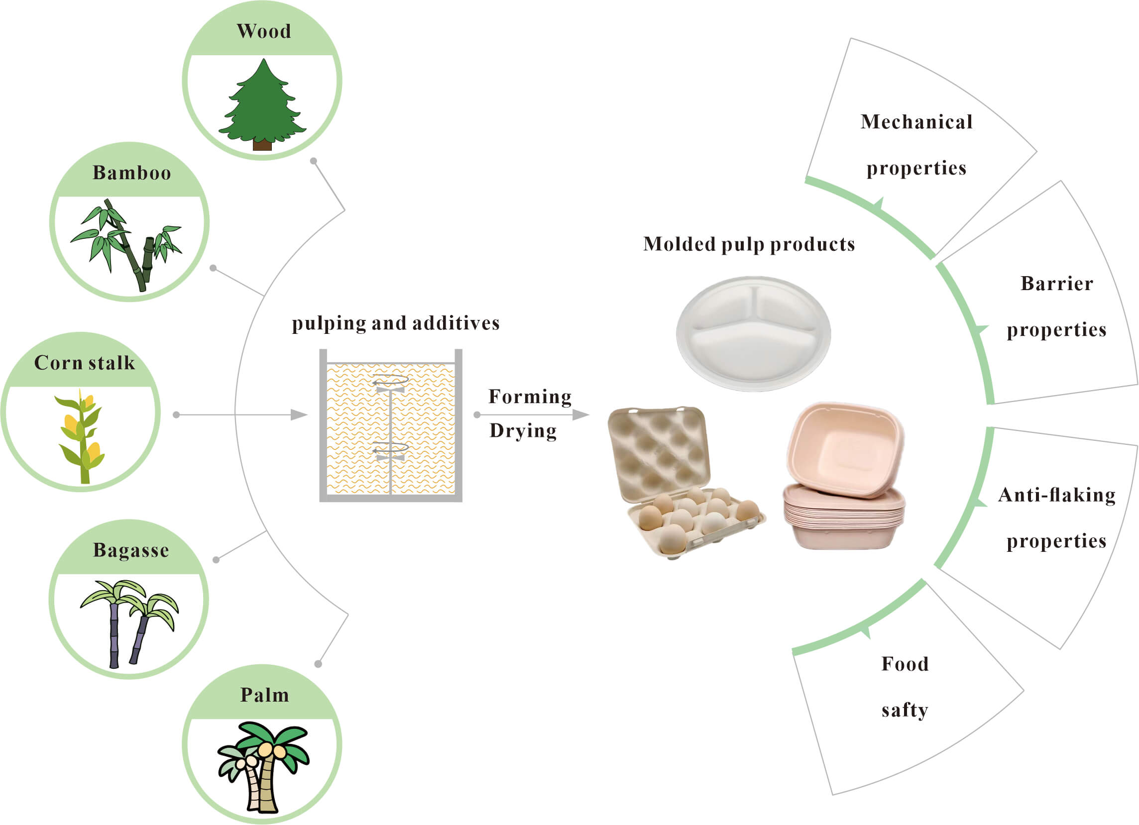 Advances in Research of Molded Pulp for Food Packaging