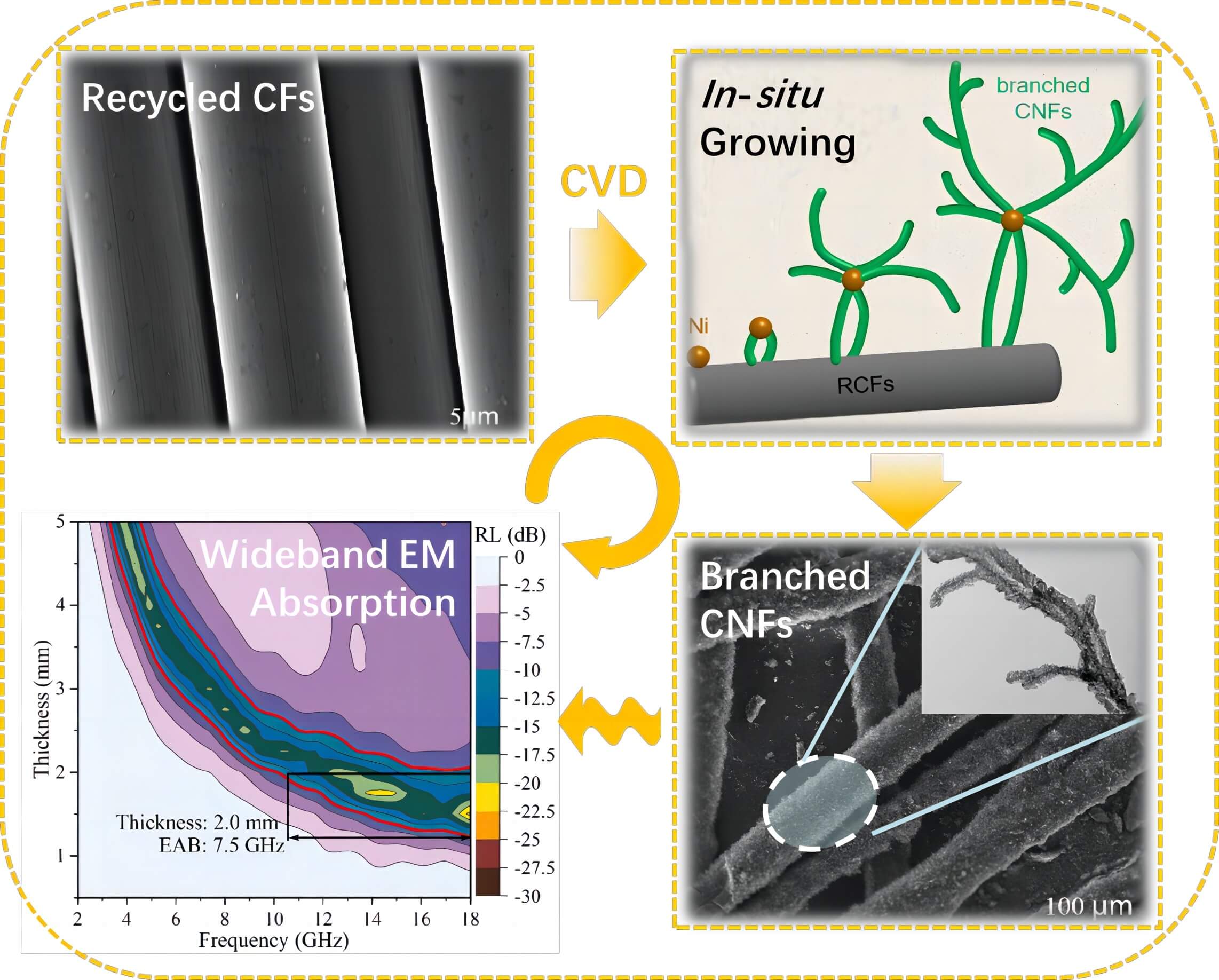 <i>In-Situ</i> Growing of Branched CNFs on Reusable RCFs to Construct Hierarchical Cross-Linked Composite for Enhanced Microwave Absorption