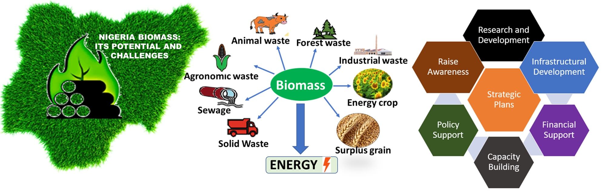 Nigerian Biomass for Bioenergy Applications: A Review on the Potential and Challenges