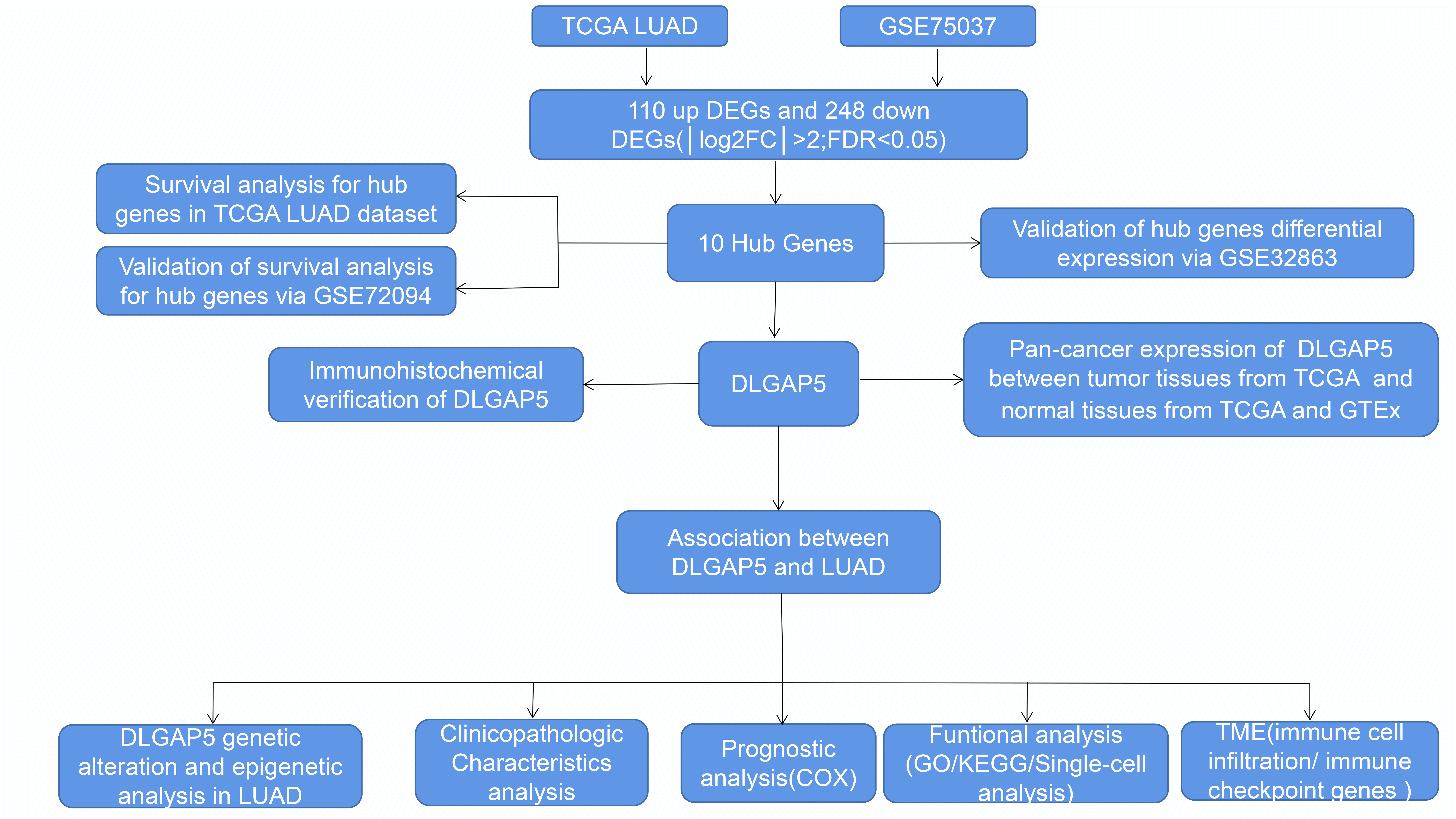 Analysis of functional hub genes indicates DLGAP5 is linked to lung adenocarcinoma prognosis