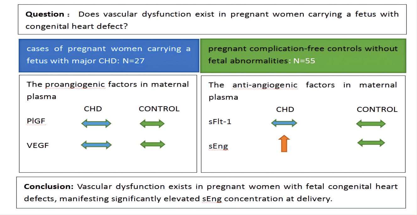 Maternal Vascular Dysfunction in Congenital Heart Defects