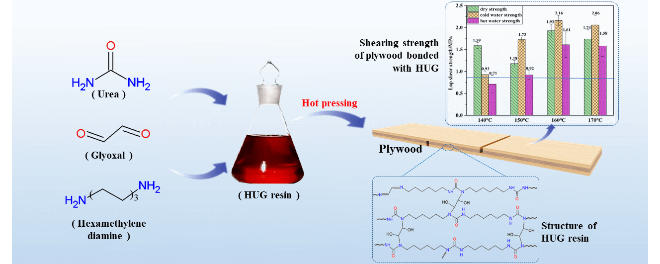 Preparation of Environmentally Friendly Urea-Hexanediamine-Glyoxal (HUG) Resin Wood Adhesive