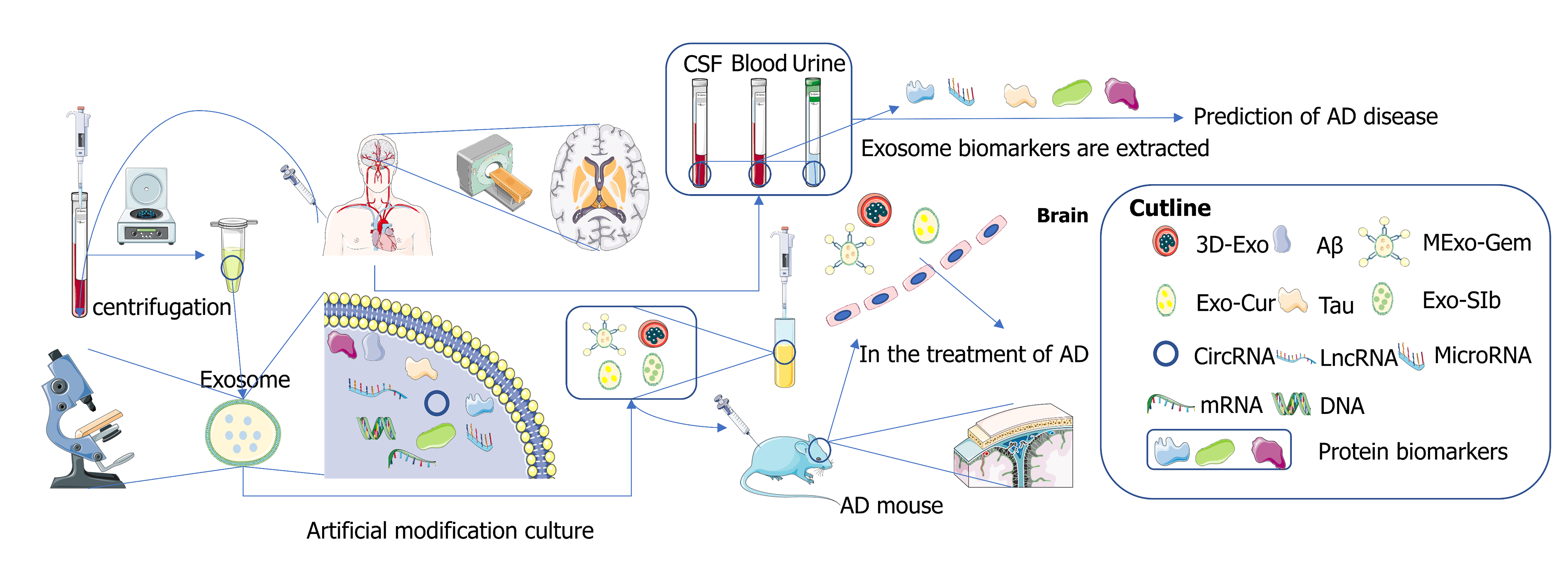 Exploring exosomes to provide evidence for the treatment and prediction of Alzheimer’s disease