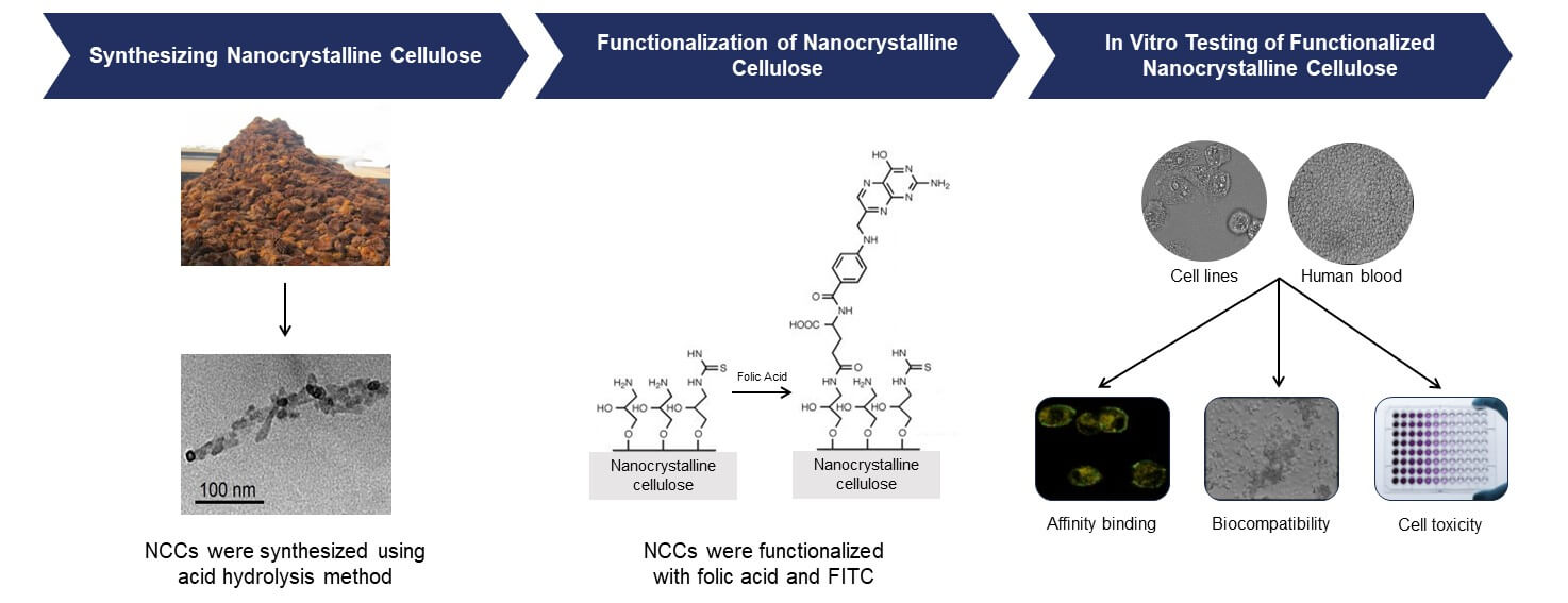 Folic Acid-Functionalized Nanocrystalline Cellulose as a Renewable and Biocompatible Nanomaterial for Cancer-Targeting Nanoparticles