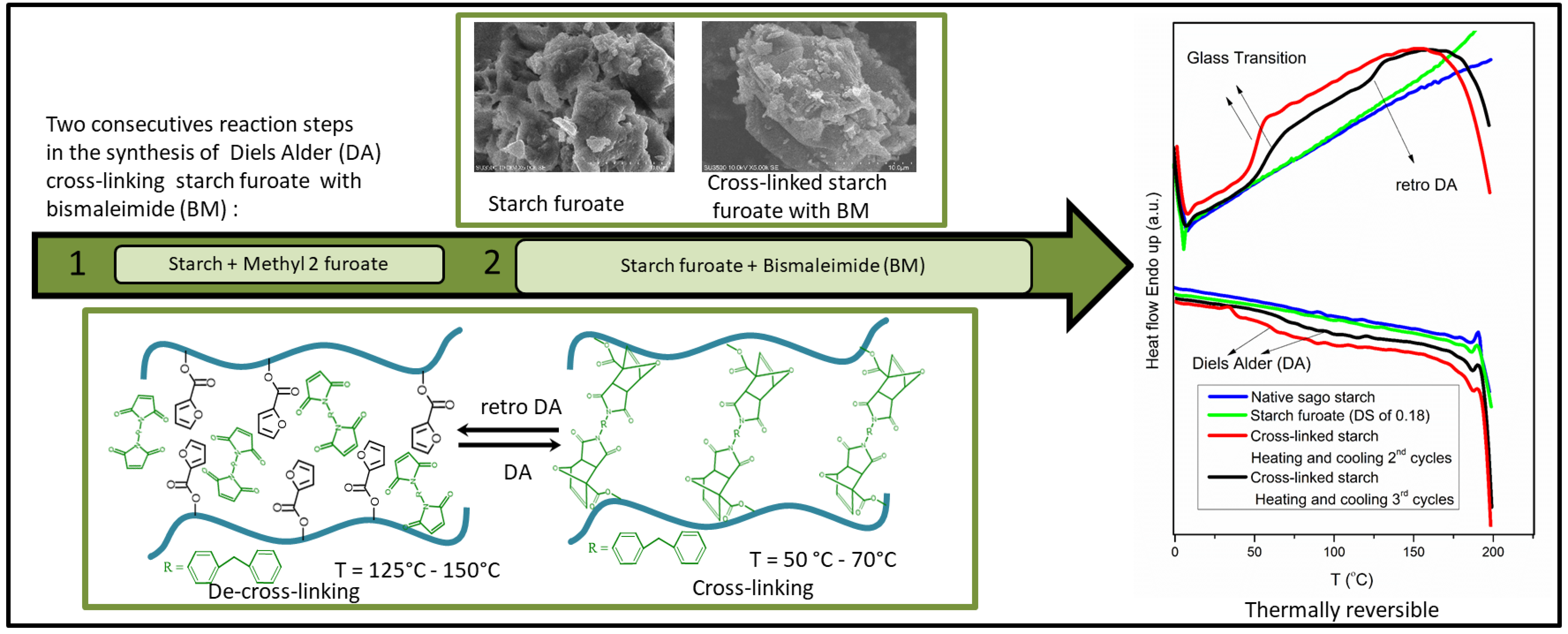 Cross-Linking of Sago Starch with Furan and Bismaleimide via the Diels-Alder Reaction