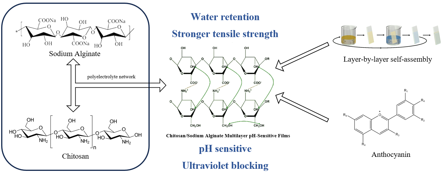 Chitosan/Sodium Alginate Multilayer pH-Sensitive Films Based on Layer-by-Layer Self-Assembly for Intelligent Packaging