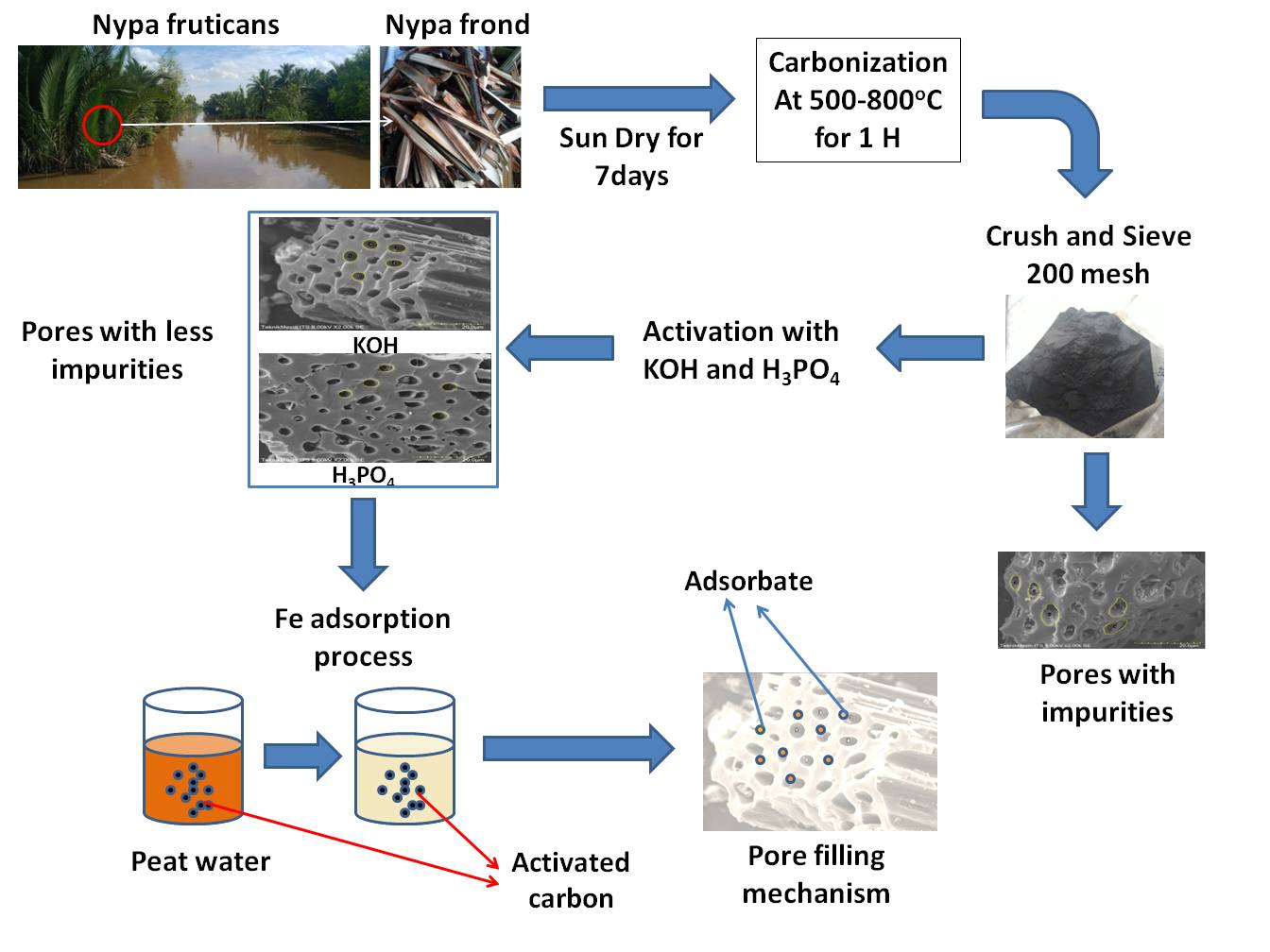 Activated Carbon from Nipa Palm Fronds (<i>Nypa fruticans</i>) with H<sub>3</sub>PO<sub>4</sub> and KOH Activators as Fe Adsorbers