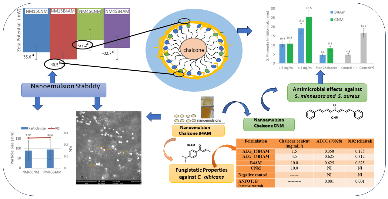 Evaluation of the Antibacterial and Antifungal Capacity of Nanoemulsions Loaded with Synthetic Chalcone Derivatives Di-Benzyl Cinnamaldehyde and Benzyl 4-Aminochalcone