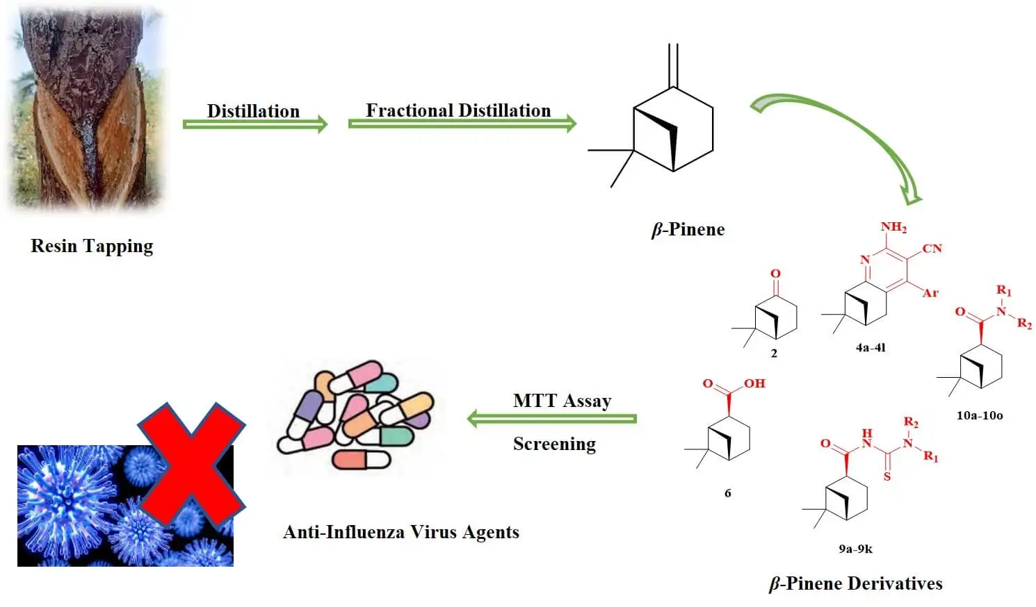 High-Value-Added Utilization of Turpentine: Screening of Anti-Influenza Virus Agents from <i>β</i>-Pinene Derivatives