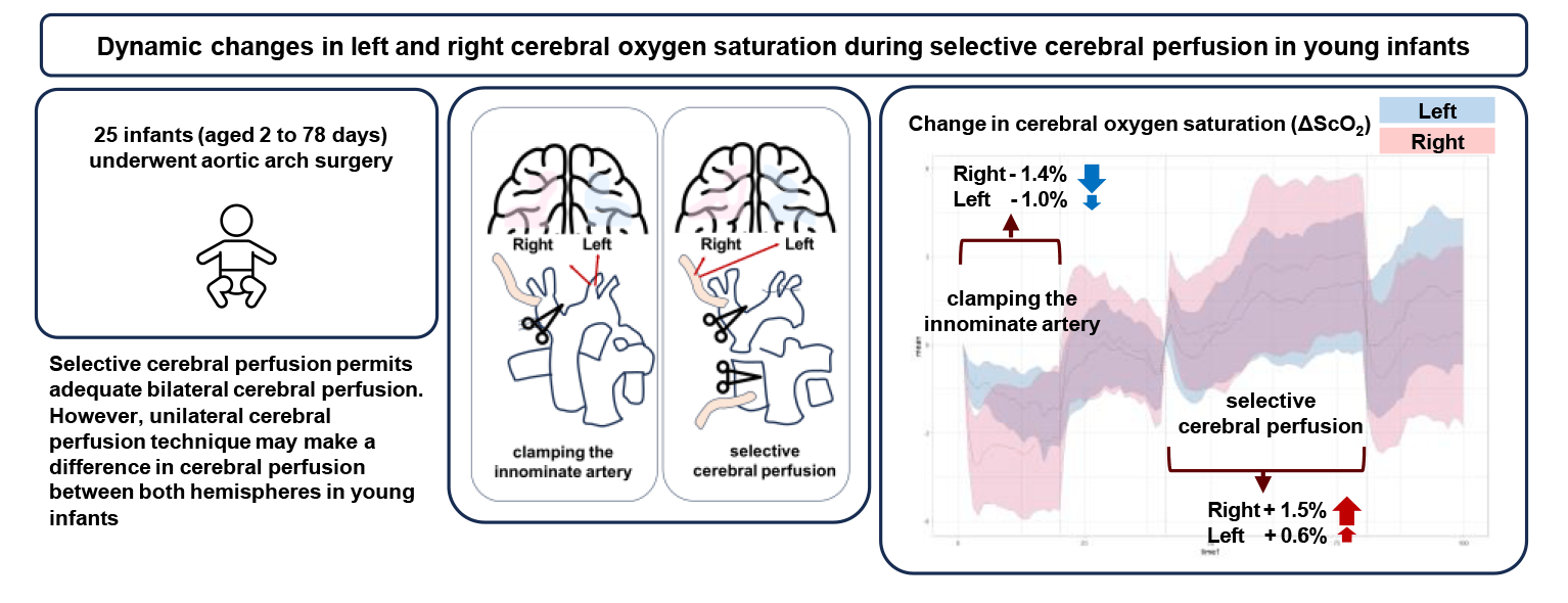 Dynamic Changes in Left and Right Cerebral Oxygen Saturation during Selective Cerebral Perfusion in Young Infants