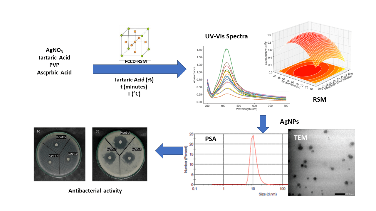 The Influence of Tartaric Acid in the Silver Nanoparticle Synthesis Using Response Surface Methodology