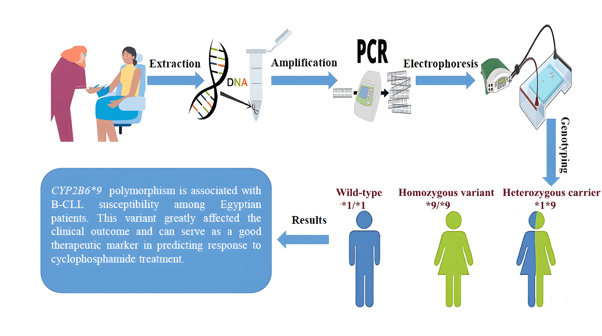 The role of polymorphic cytochrome P450 gene (CYP2B6) in B-chronic lymphocytic leukemia (B-CLL) incidence and outcome among Egyptian patients
