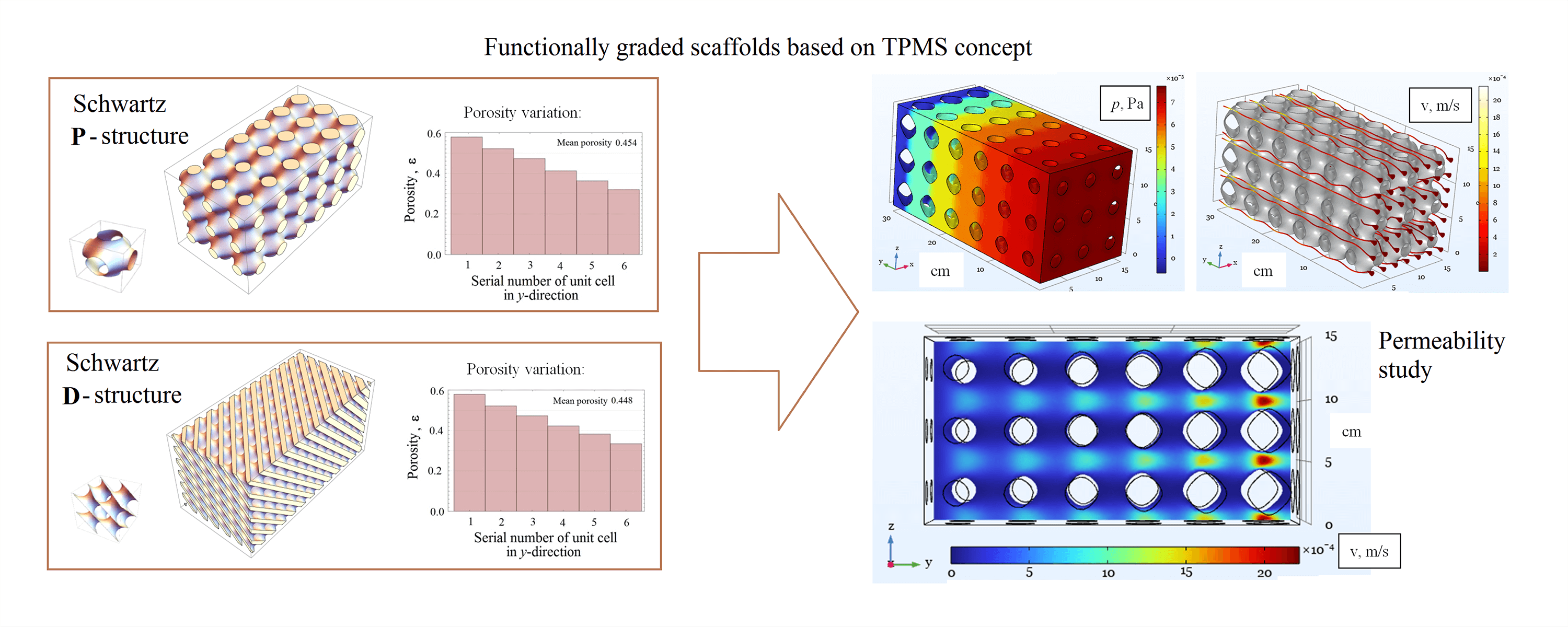 Numerical Analysis of Permeability of Functionally Graded Scaffolds