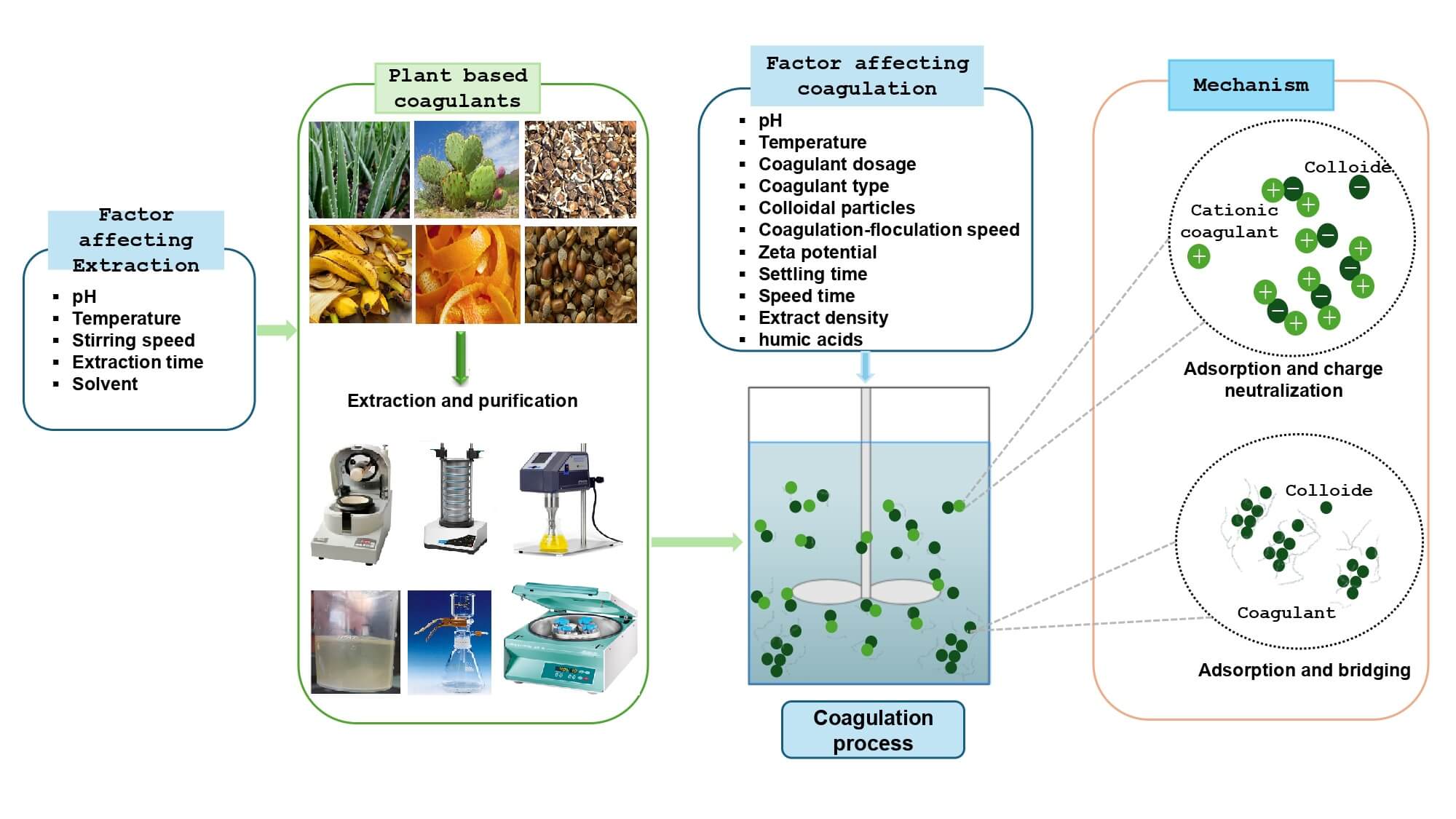 Application of Plant-Based Coagulants and Their Mechanisms in Water Treatment: A Review