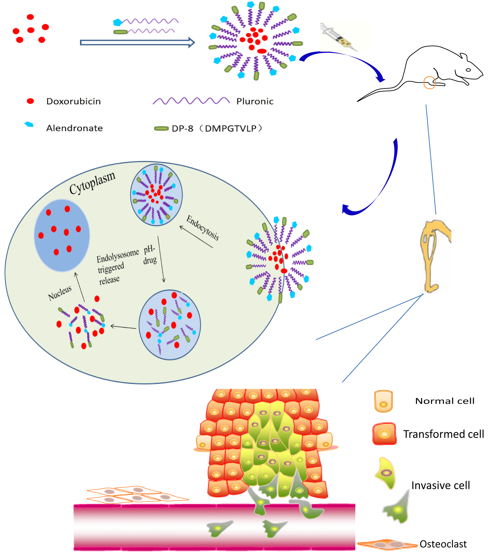 Dual ligand-targeted Pluronic P123 polymeric micelles enhance the therapeutic effect of breast cancer with bone metastases