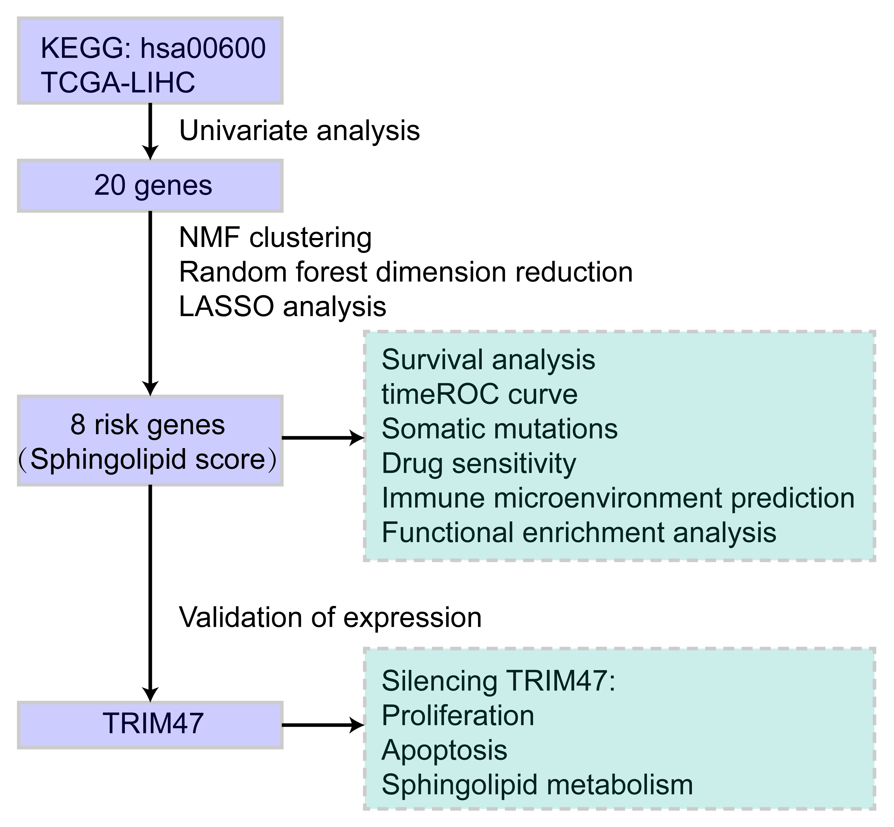 Identification prognostic features related to sphingolipid metabolism and experimental validation of TRIM47 in hepatocellular carcinoma