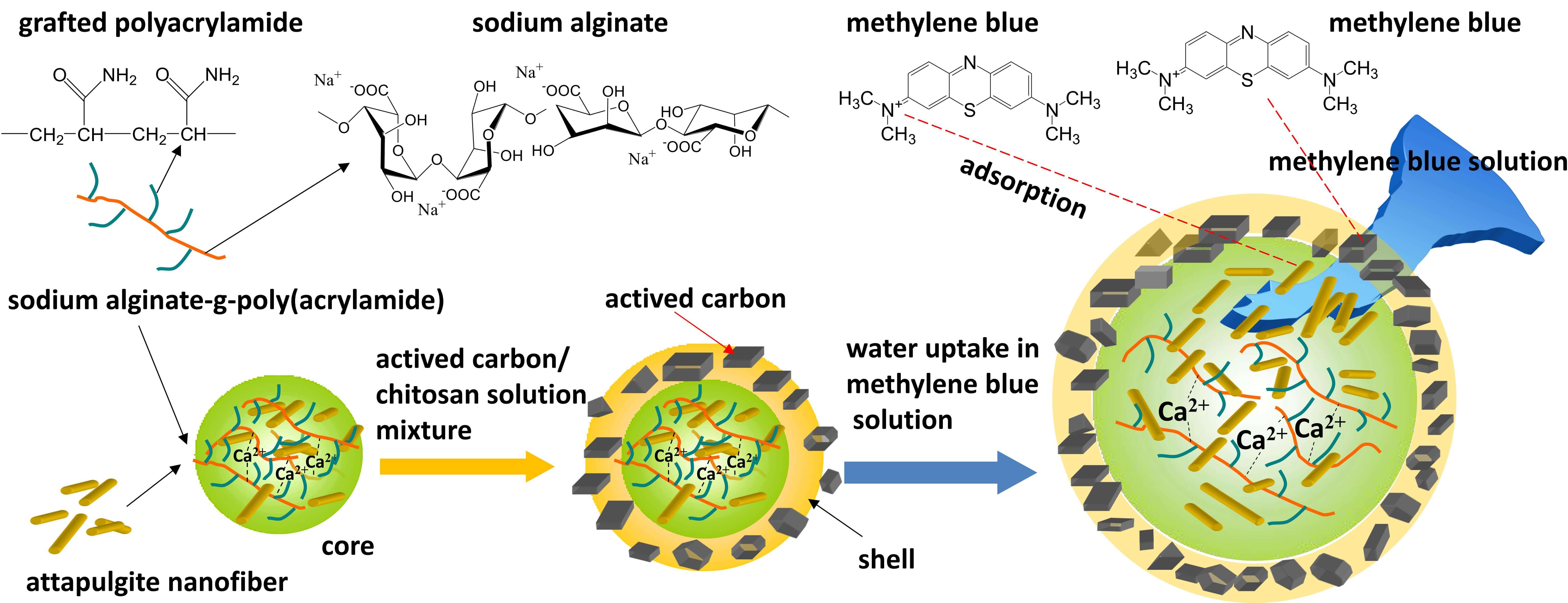 Fabrication of Core-Shell Hydrogel Bead Based on Sodium Alginate and Chitosan for Methylene Blue Adsorption