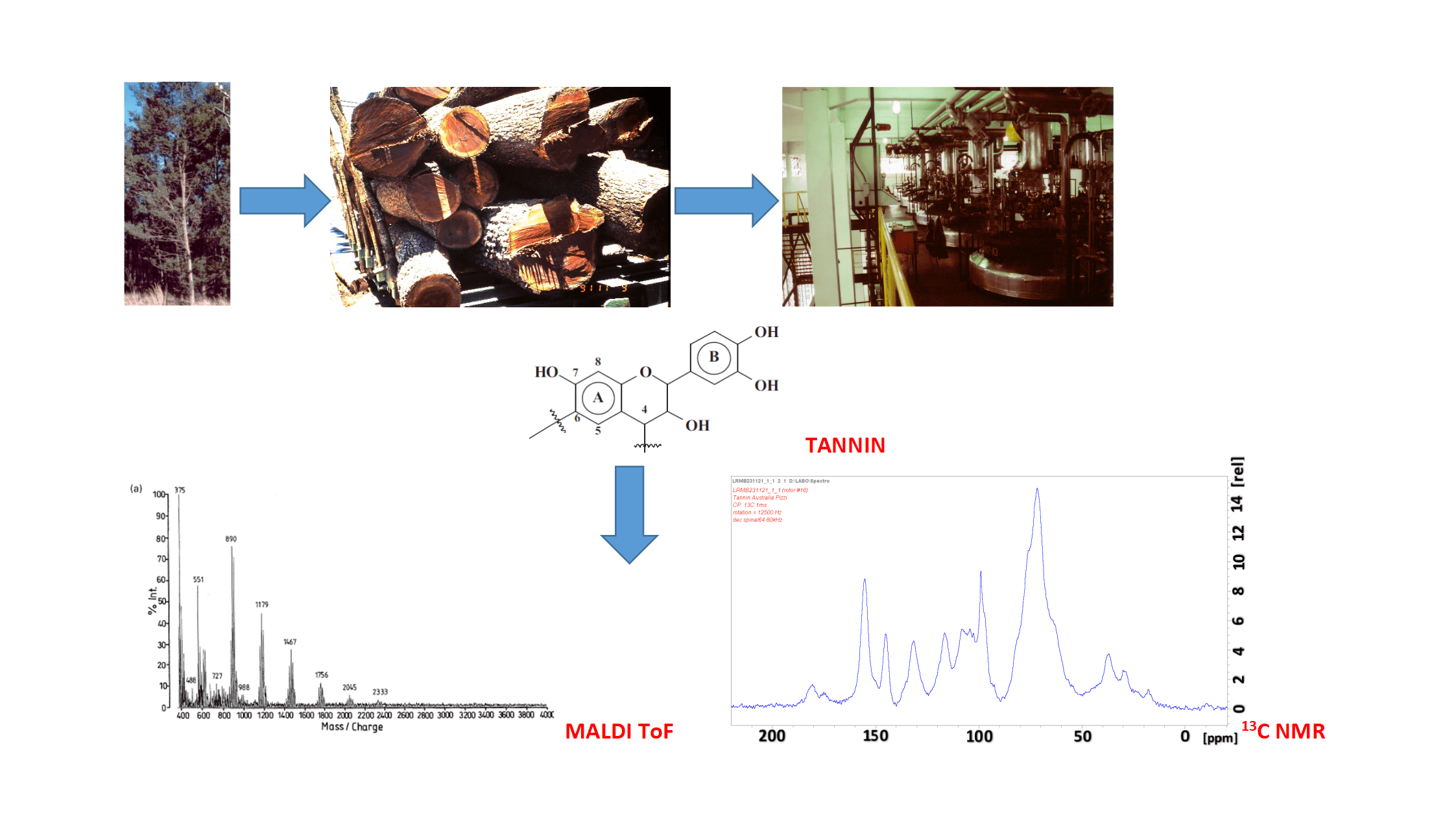 A Review on Sources, Extractions and Analysis Methods of a Sustainable Biomaterial: Tannins