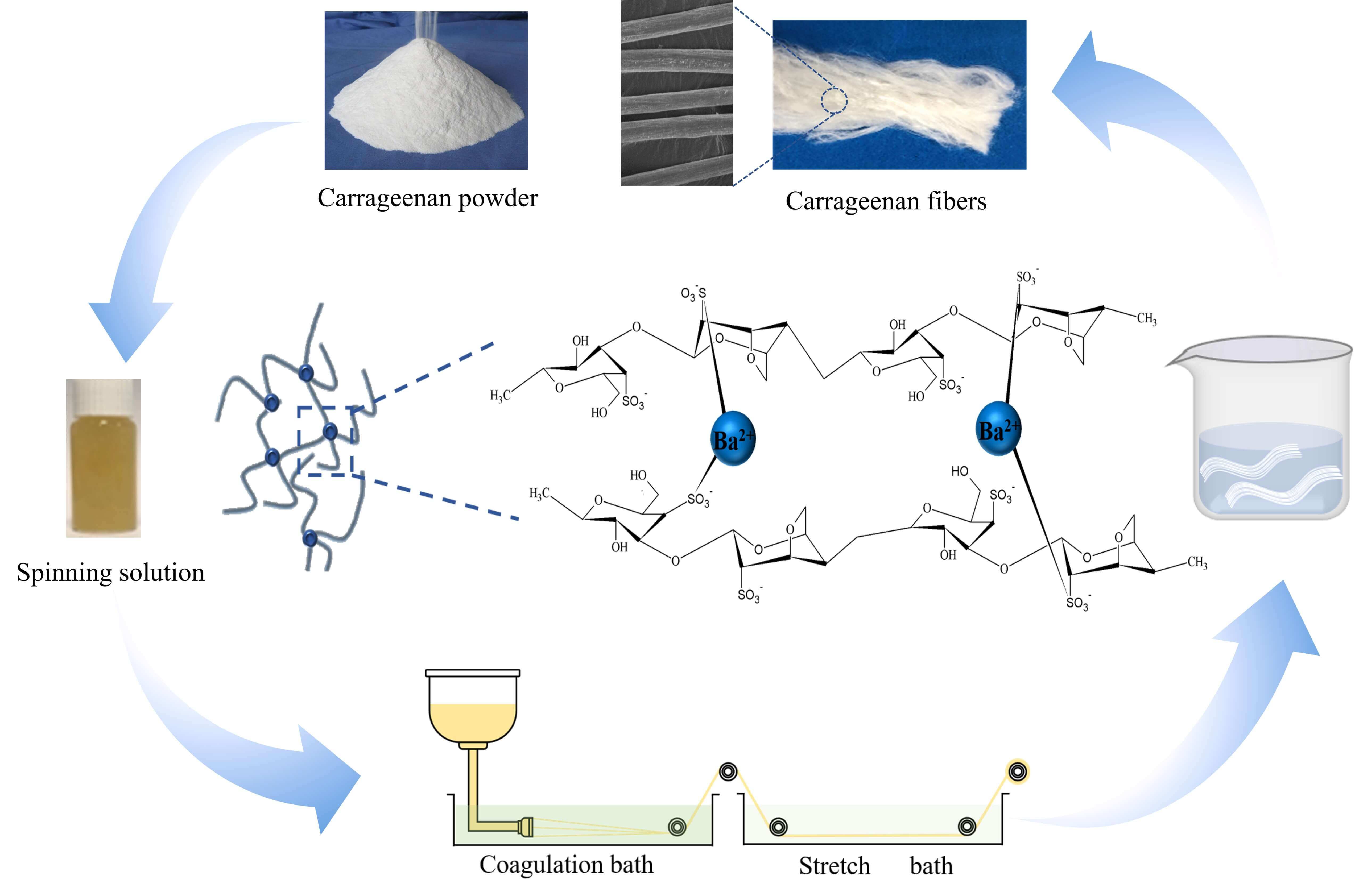 Carrageenan Fiber Prepared by a New Process Route of Ba<sup>2+</sup> Ion Pre-Crosslinking in the Spinning Solution