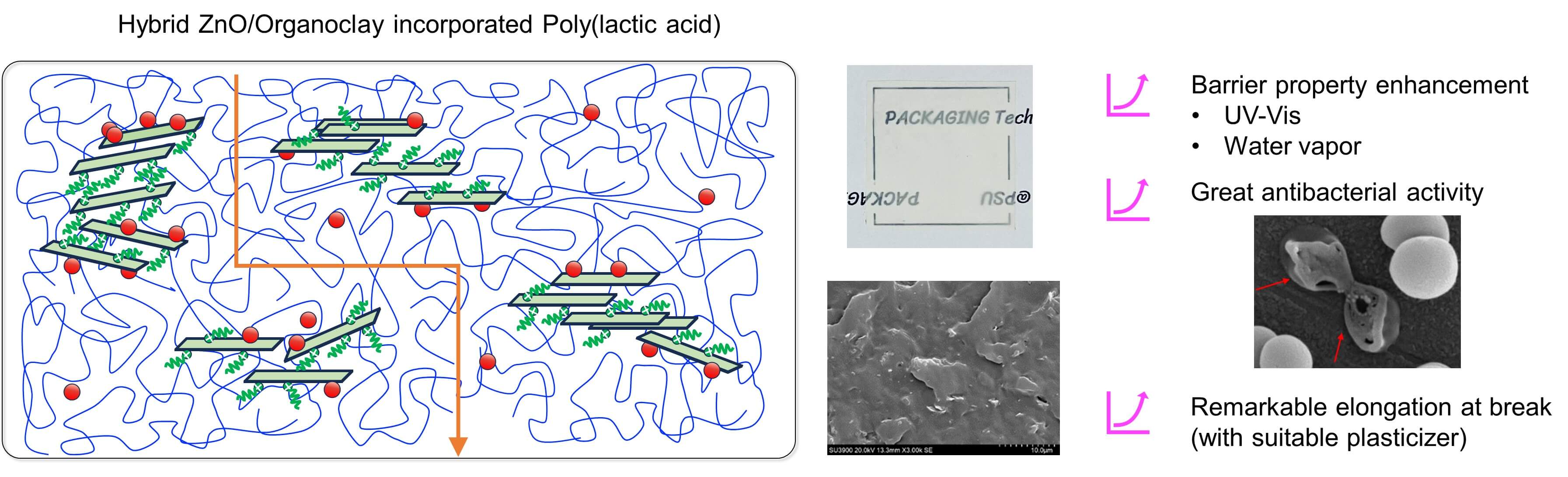 Synergism of Zinc Oxide/Organoclay-Loaded Poly(lactic acid) Hybrid Nanocomposite Plasticized by Triacetin for Sustainable Active Food Packaging