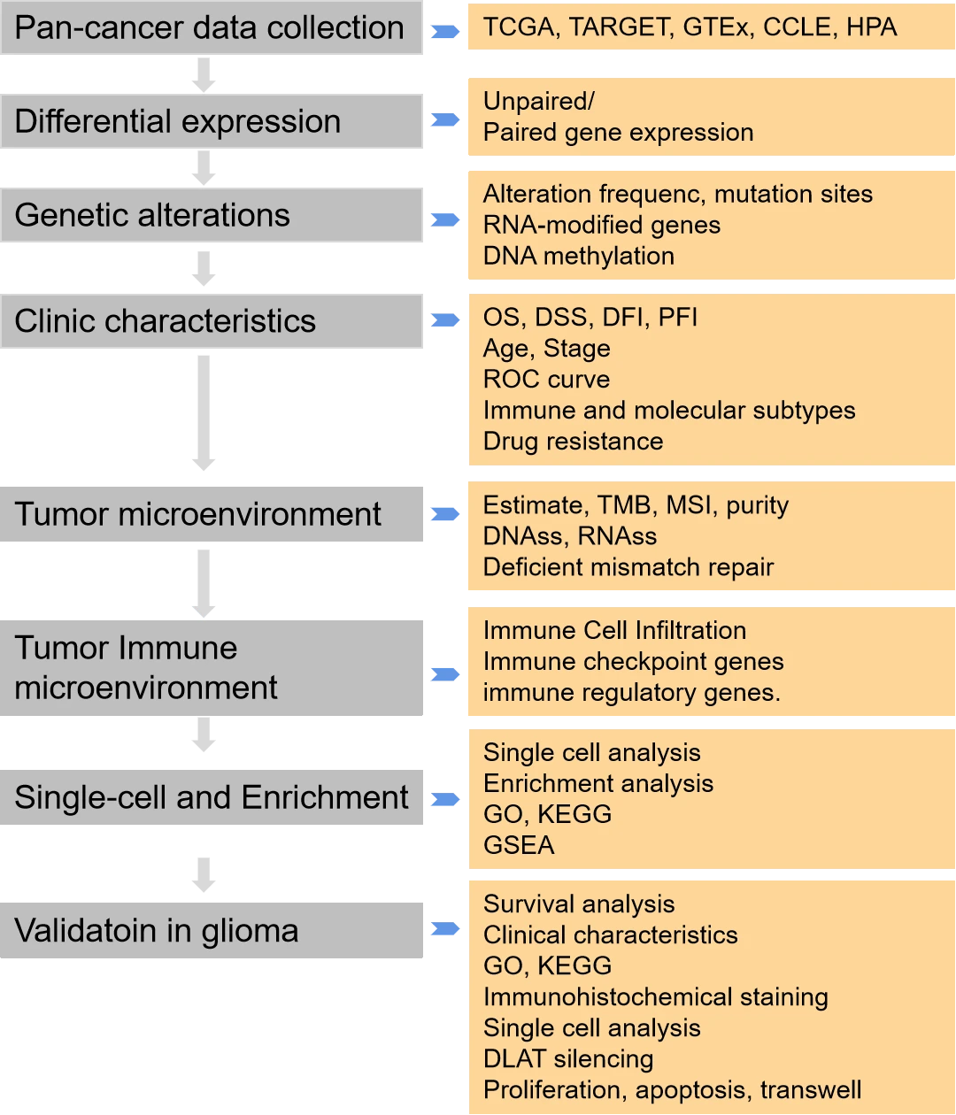 A comprehensive and systematic analysis of Dihydrolipoamide S-acetyltransferase <i>(DLAT)</i> as a novel prognostic biomarker in pan-cancer and glioma