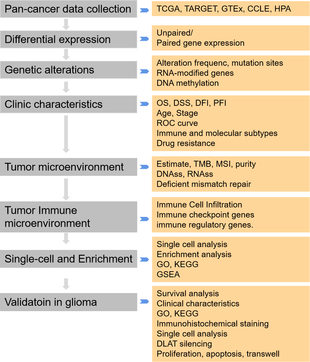 A comprehensive and systematic analysis of Dihydrolipoamide S-acetyltransferase (<i>DLAT</i>) as a novel prognostic biomarker in pan-cancer and glioma