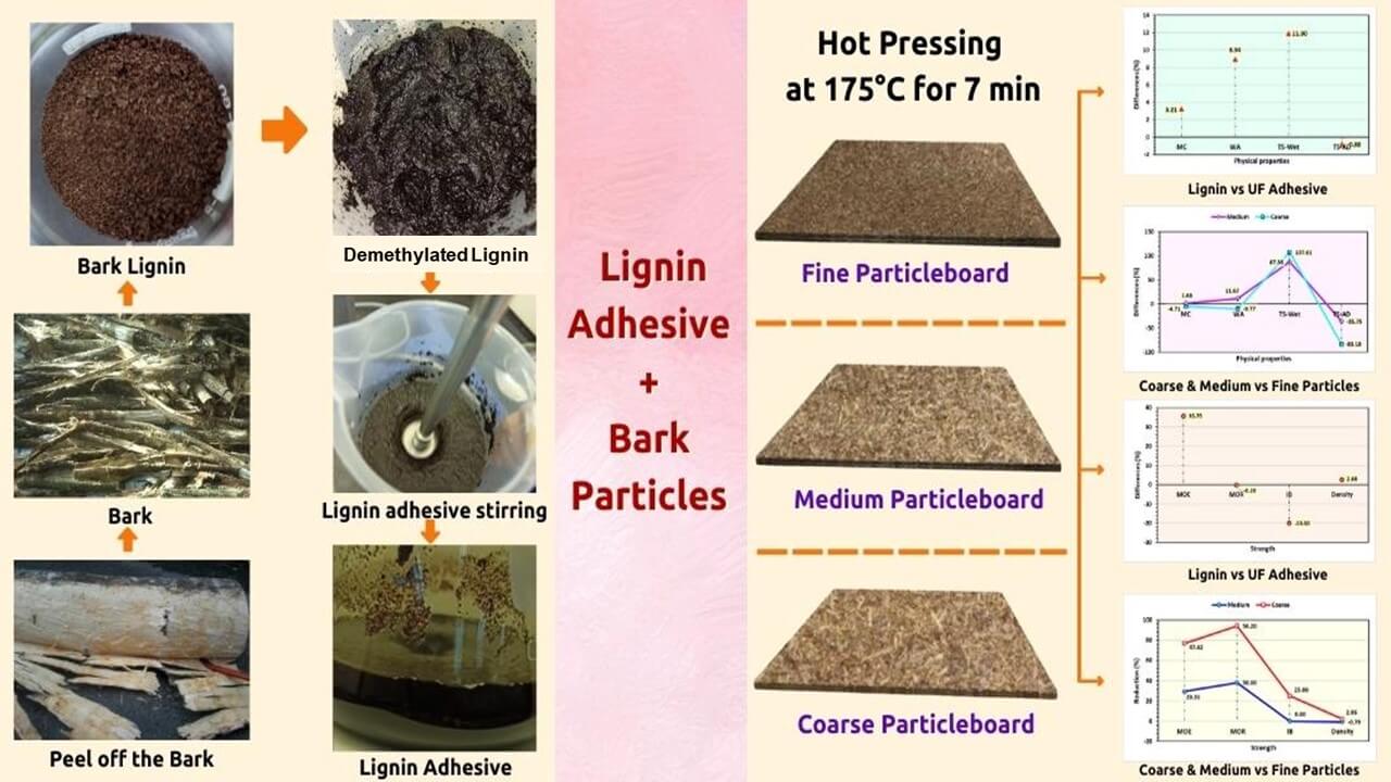 Properties of Bark Particleboard Bonded with Demethylated Lignin Adhesives Derived from <i>Leucaena leucocephala</i> Bark