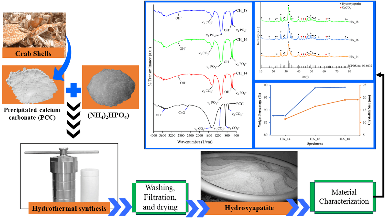 Characterization of Hydroxyapatite Extracted from Crab Shell Using the Hydrothermal Method with Varying Holding Times
