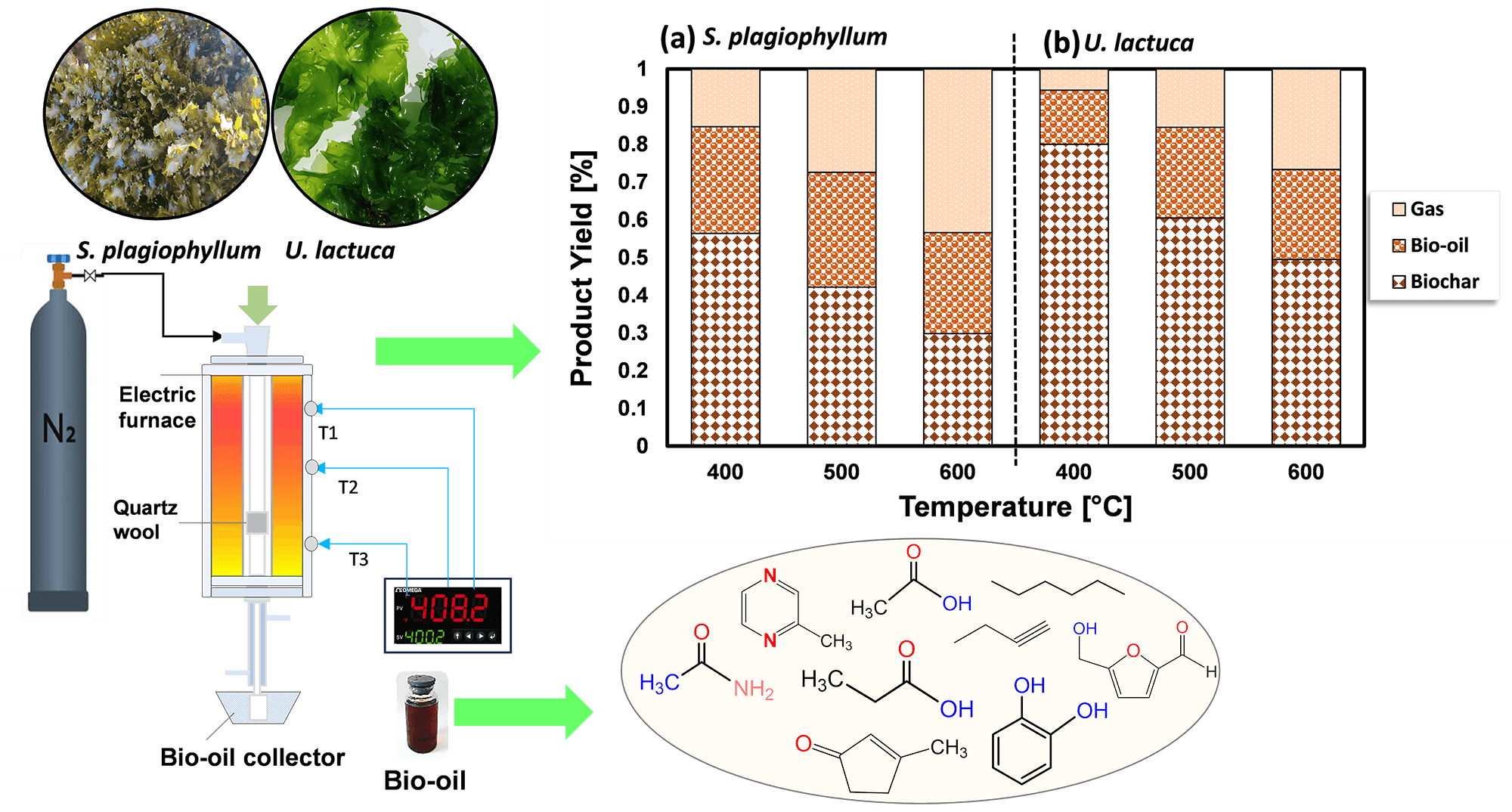 Sustainable Biofuel Production from Brown and Green Macroalgae through the Pyrolysis