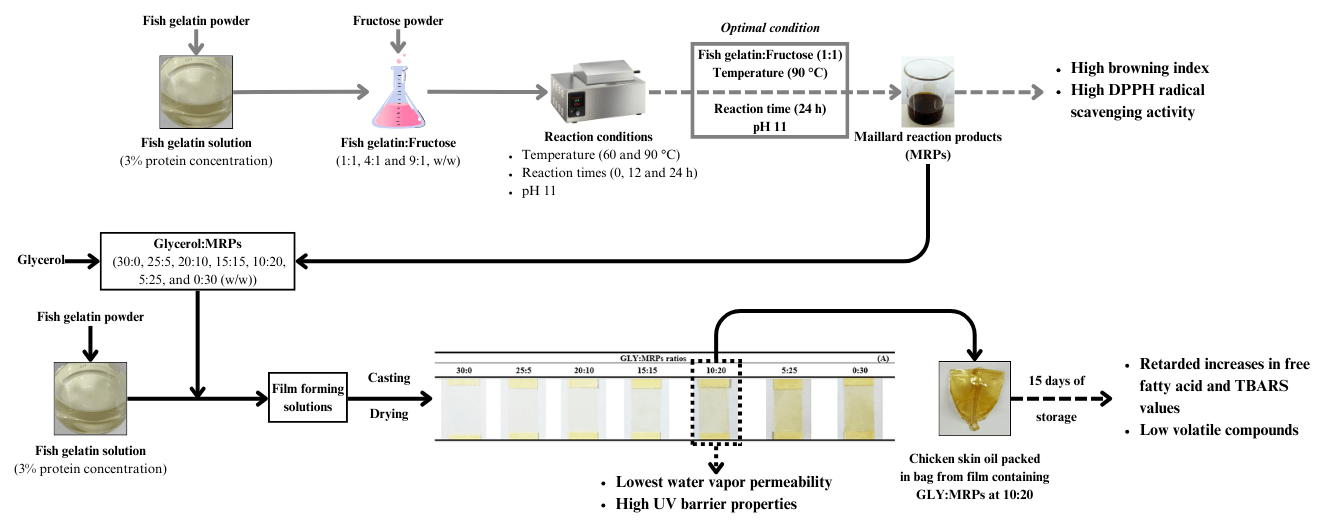 Fish Gelatin-Based Film Containing Maillard Reaction Products: Properties and Its Use as Bag for Packing Chicken Skin Oil