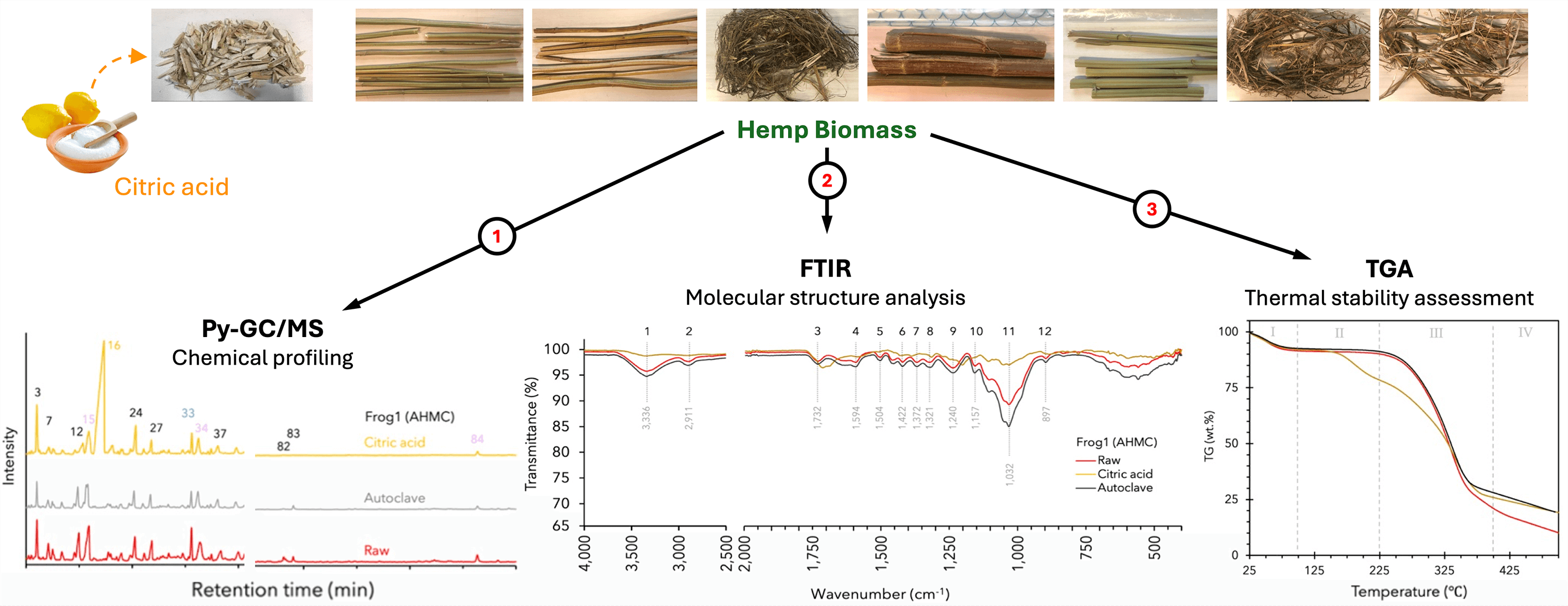 Effect of Processing and Cultivar on Thermo-Chemical Properties of Australian-Grown Hemp Hurd (<i>Cannabis sativa</i> L.)