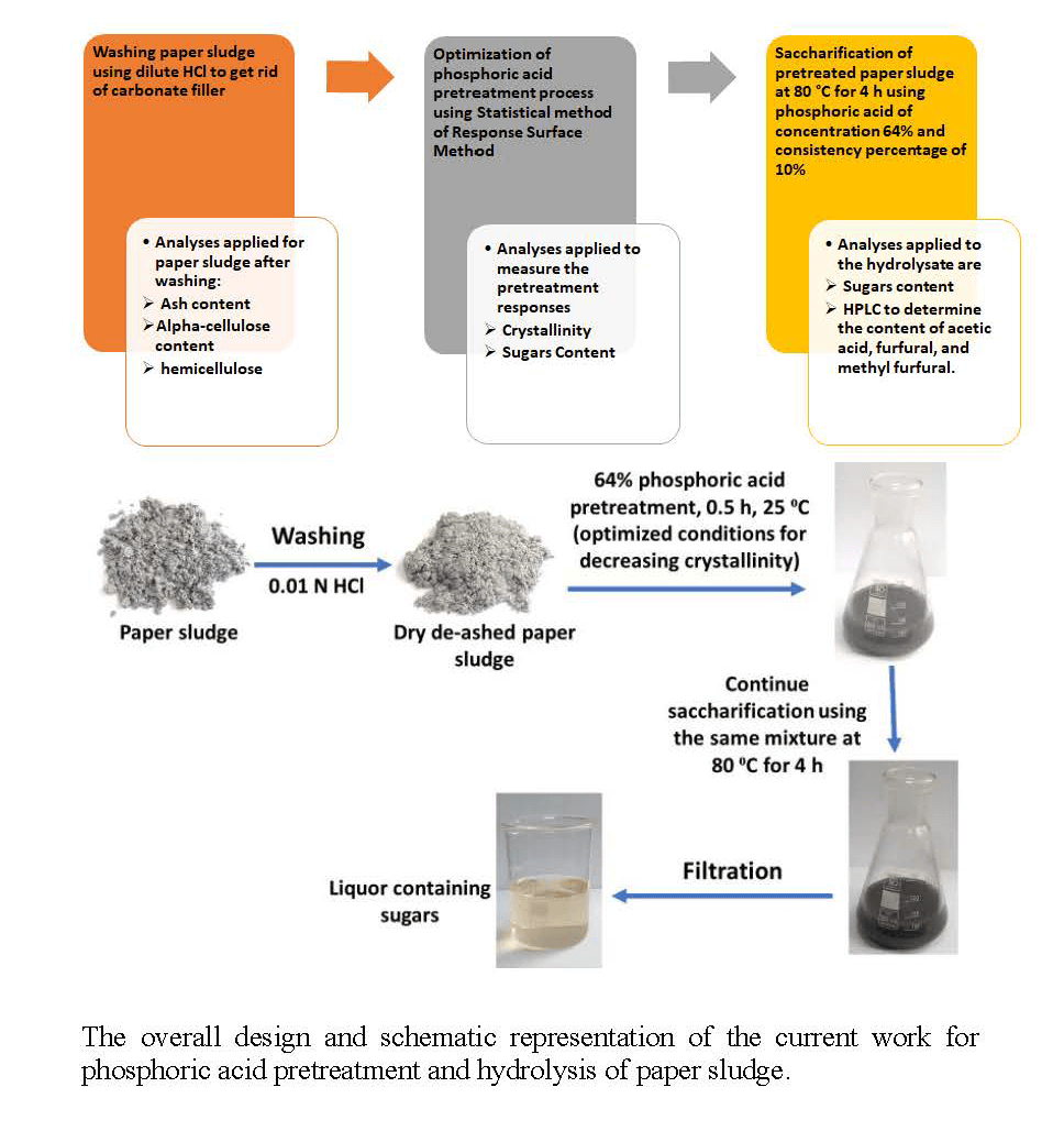 Phosphoric Acid Pretreatment and Saccharification of Paper Sludge as a Renewable Material for Cellulosic Fibers