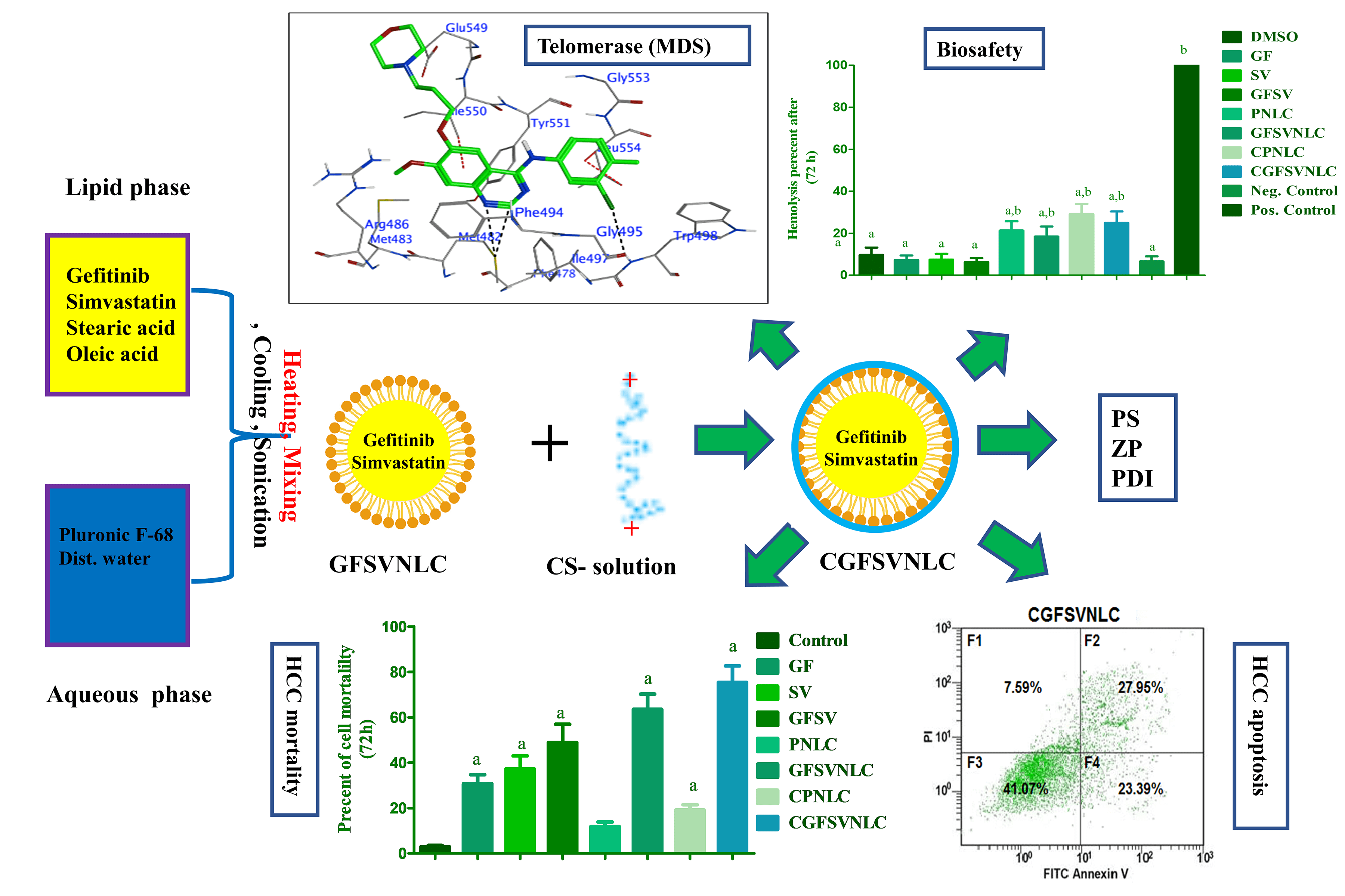 Chitosan capped-NLCs enhanced codelivery of gefitinib and simvastatin into MDR HCC: impact of compositions on cell death, JNK3, and Telomerase