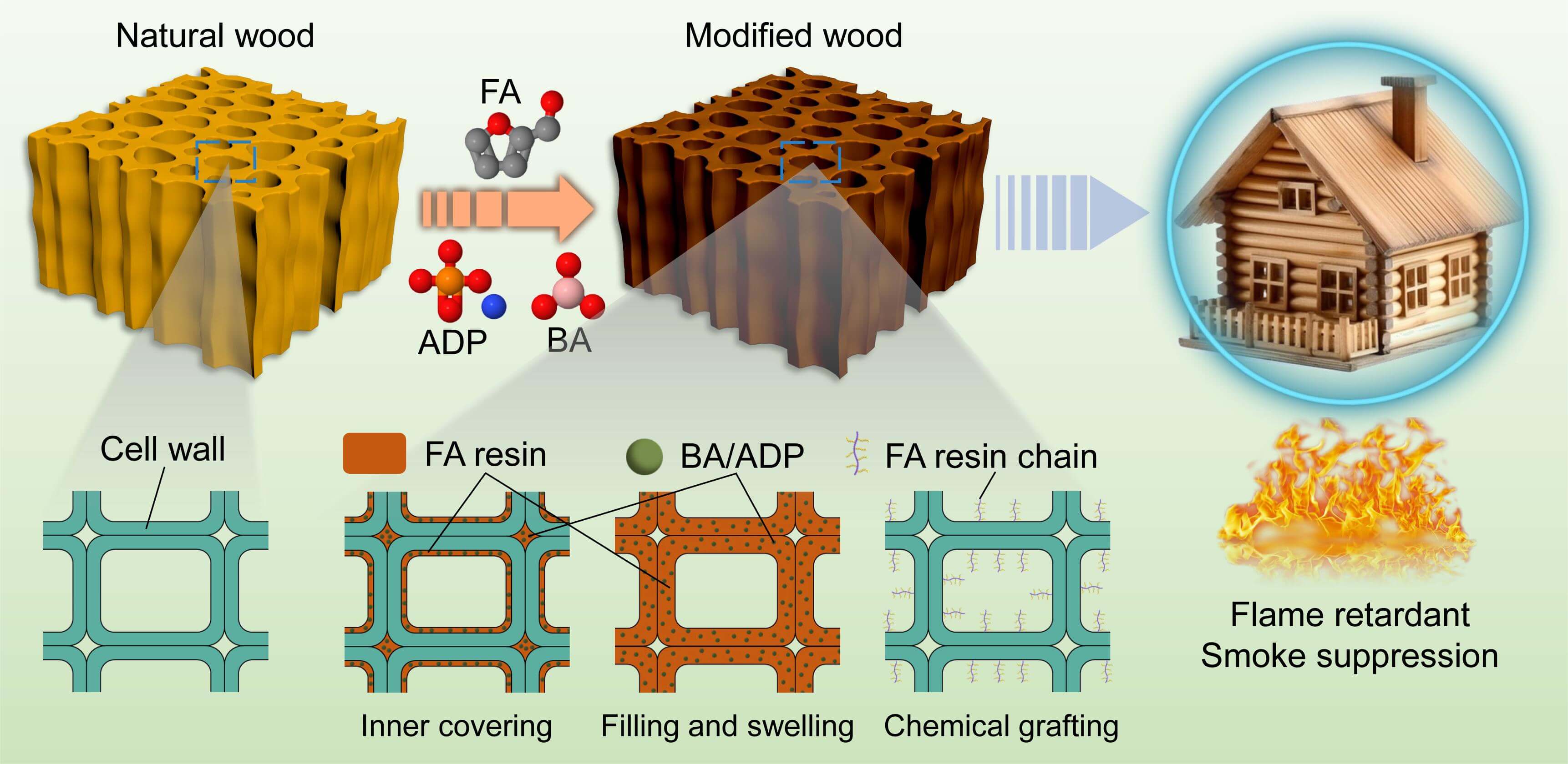 Biobased Furfurylated Poplar Wood for Flame-Retardant Modification with Boric Acid and Ammonium Dihydrogen Phosphate