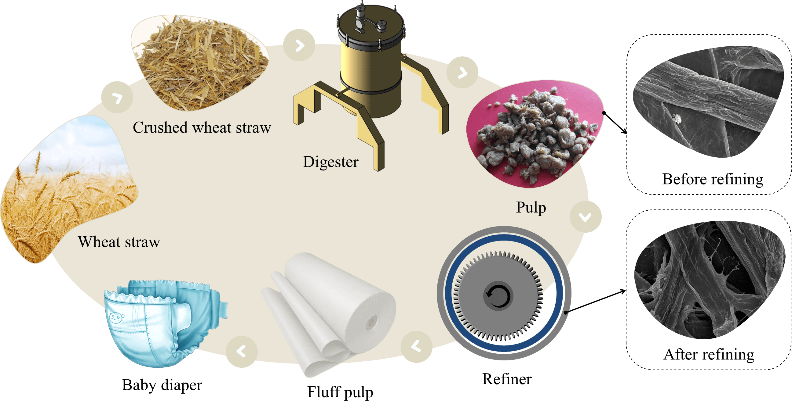 Mono Ethanol Amine (MEA) Pulping of Wheat Straw: An Environmentally Friendly Suggestion for the Fluff Pulp Production