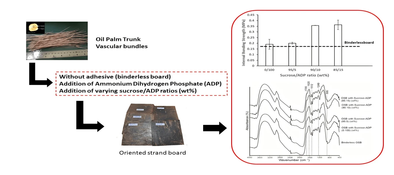 Properties of Eco-Friendly Oriented Strand Board Produced from Oil Palm Trunk